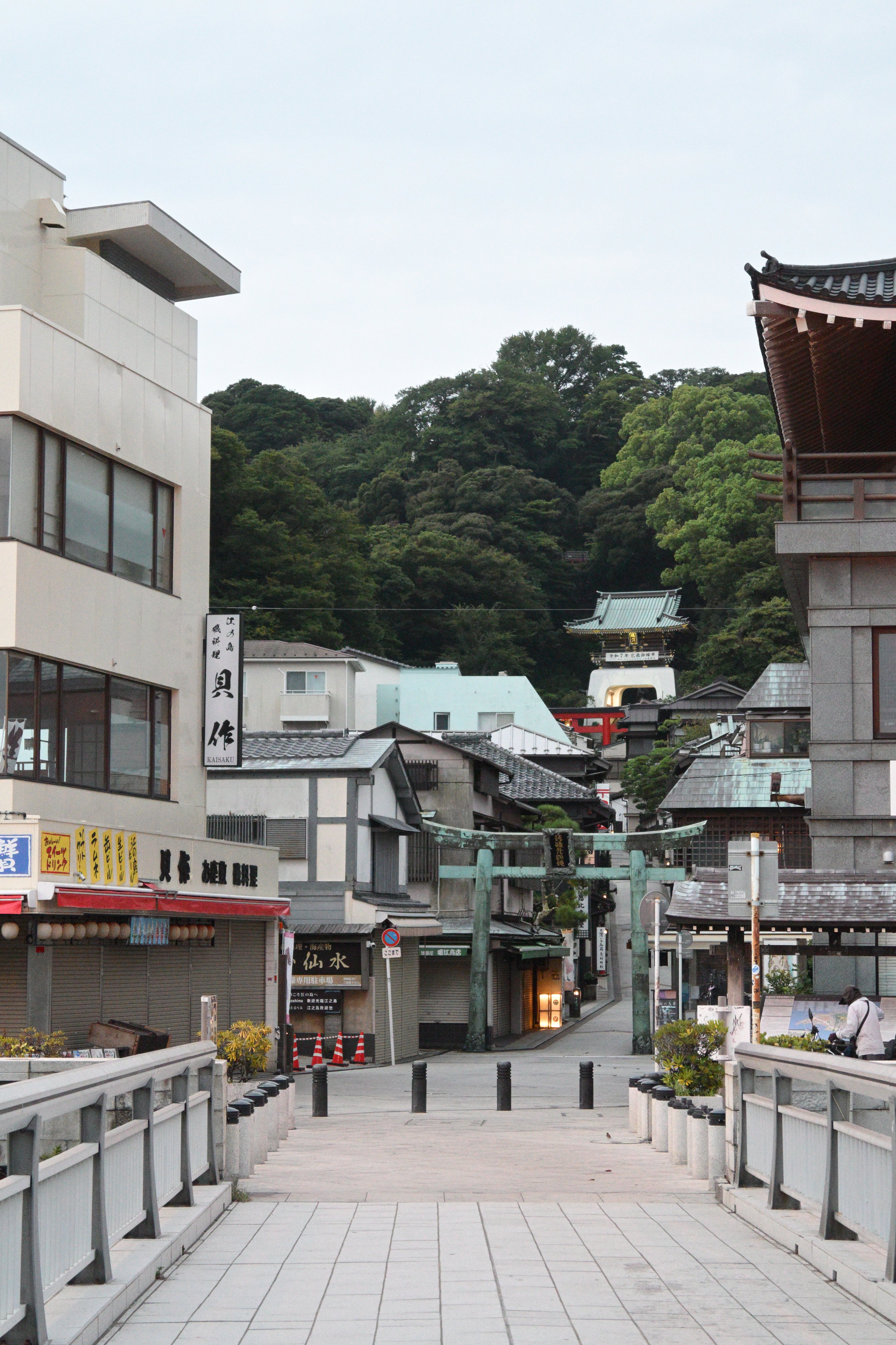 Z50II part11 (暗所：早朝)｜HAJ