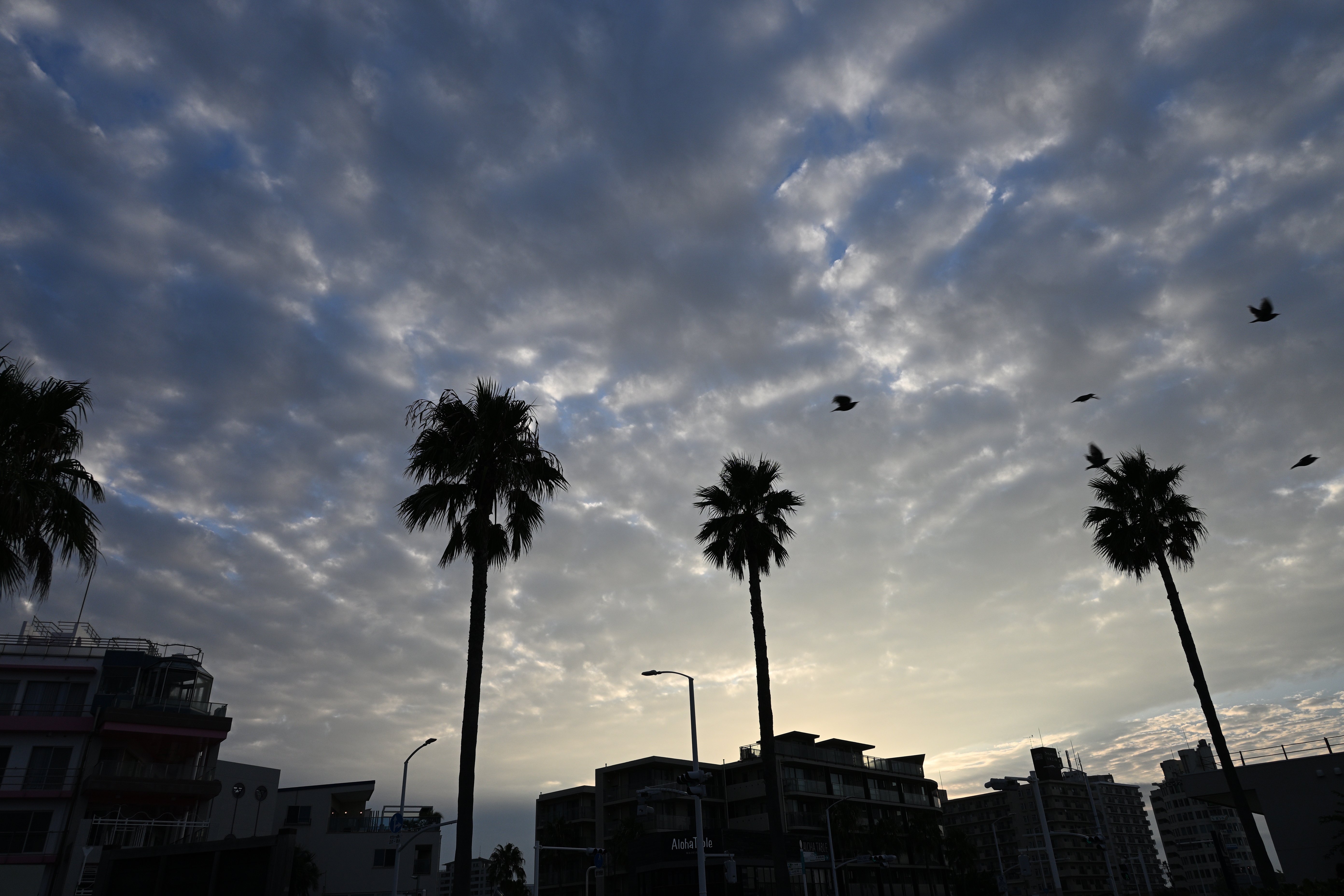 Z50II part11 (暗所：早朝)｜HAJ