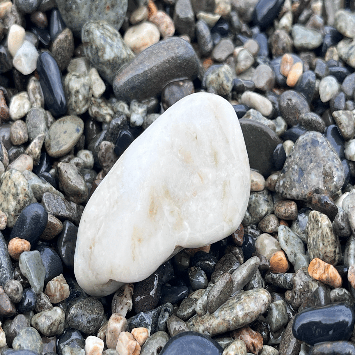 キツネ石1つで、経験値1をゲットしている。キツネ祭りin糸魚川（翡翠