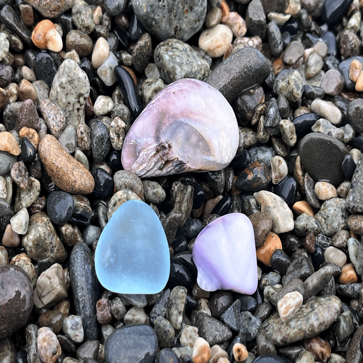 キツネ石1つで、経験値1をゲットしている。キツネ祭りin糸魚川（翡翠