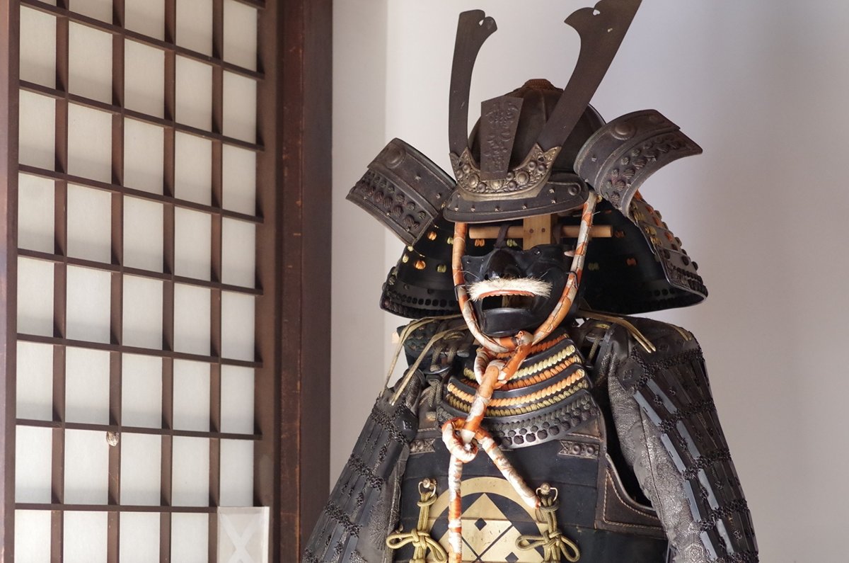 Blue ParrotΥƥȶ仨ߤ¤ͻ