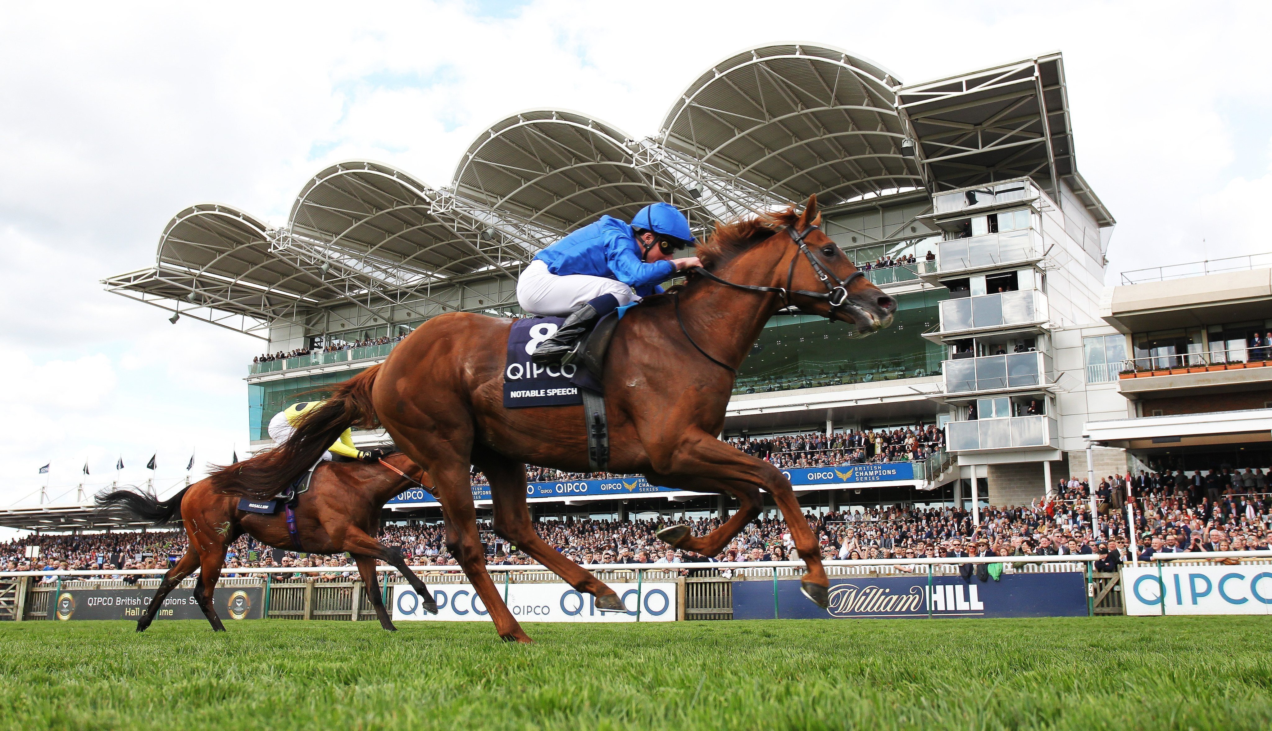 フランス競馬百年史　ギイ.チボー著　貴重 仏競馬】夏ドーヴィル開催のジャックルマロワ賞にジャンタル