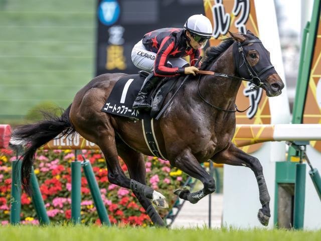 フランス競馬百年史　ギイ.チボー著　貴重 フランス競馬百年史 - 《蓑虫屋》 競馬専門古書店