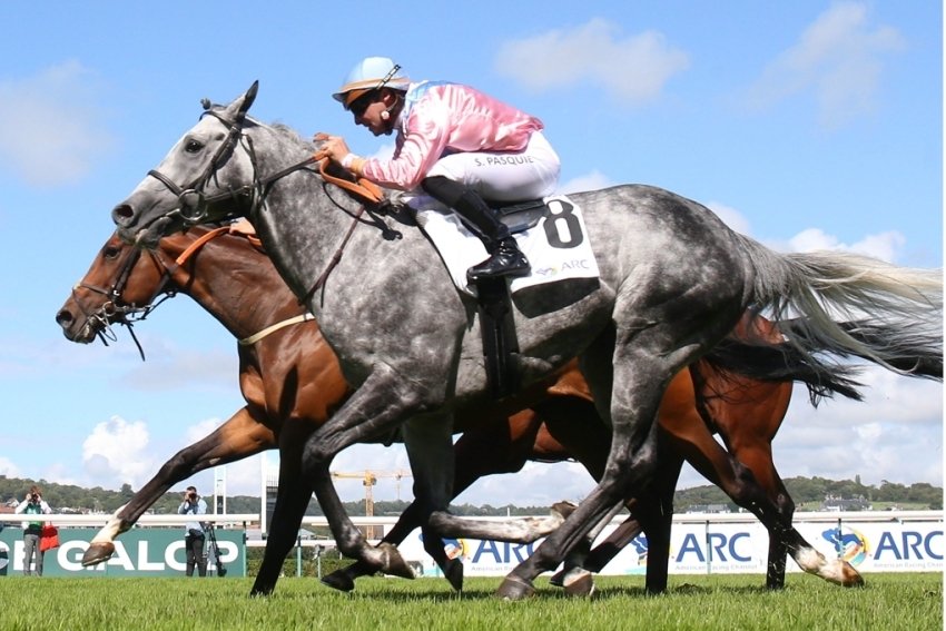 フランス競馬百年史　ギイ.チボー著　貴重 フランス競馬百年史 ギイ.チボー著 貴重 1200px-LONGCHAMP