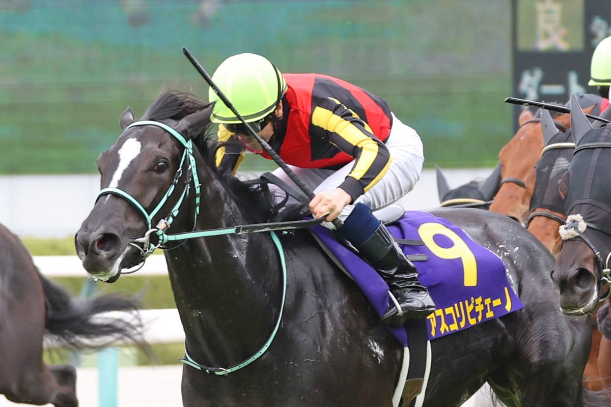 国内馬券発売】ジャック・ル・マロワ賞 2025 出走馬全頭解説