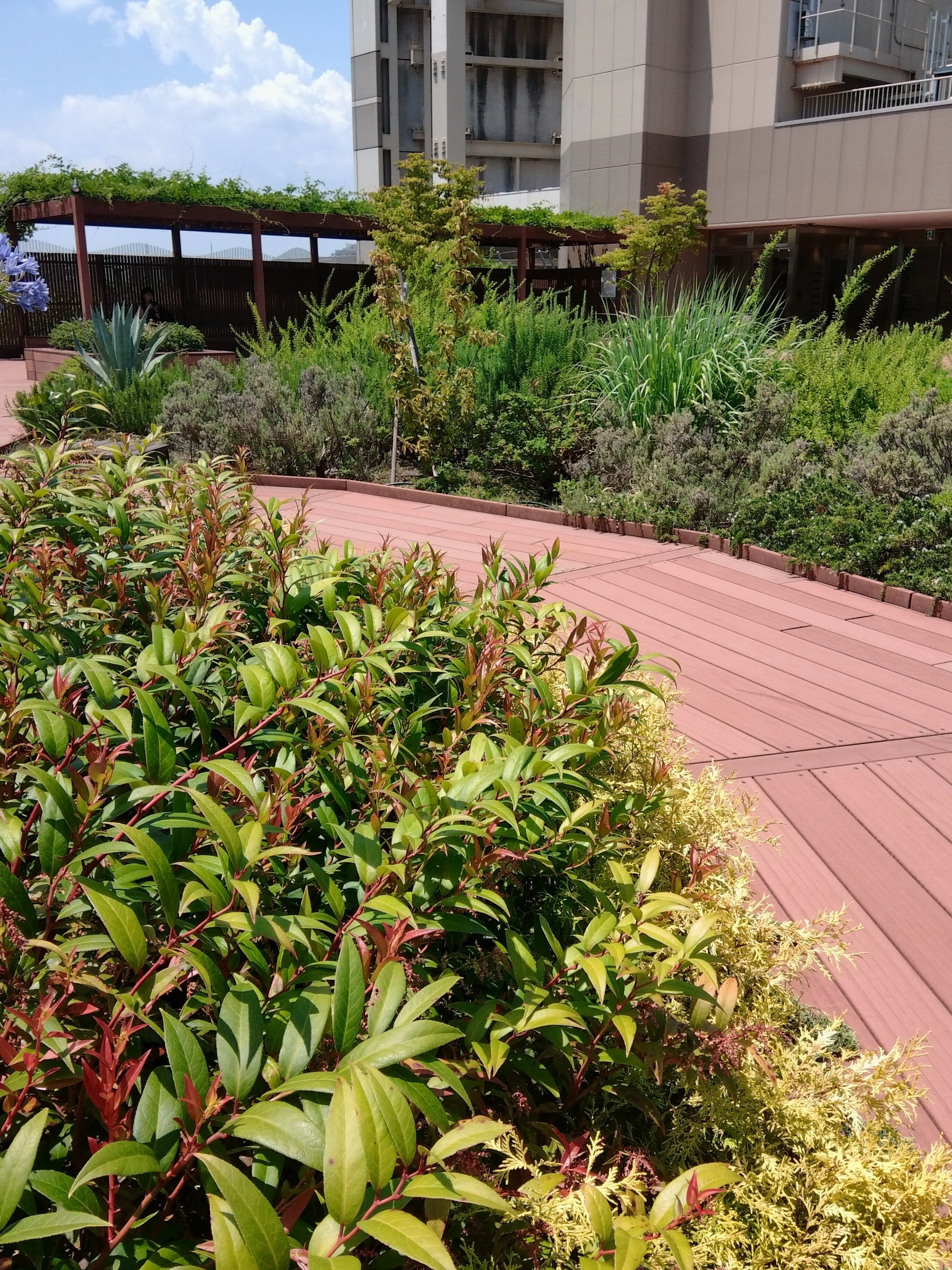 思い立ったらふらっと立ち寄れる屋上庭園、ebisu green garden