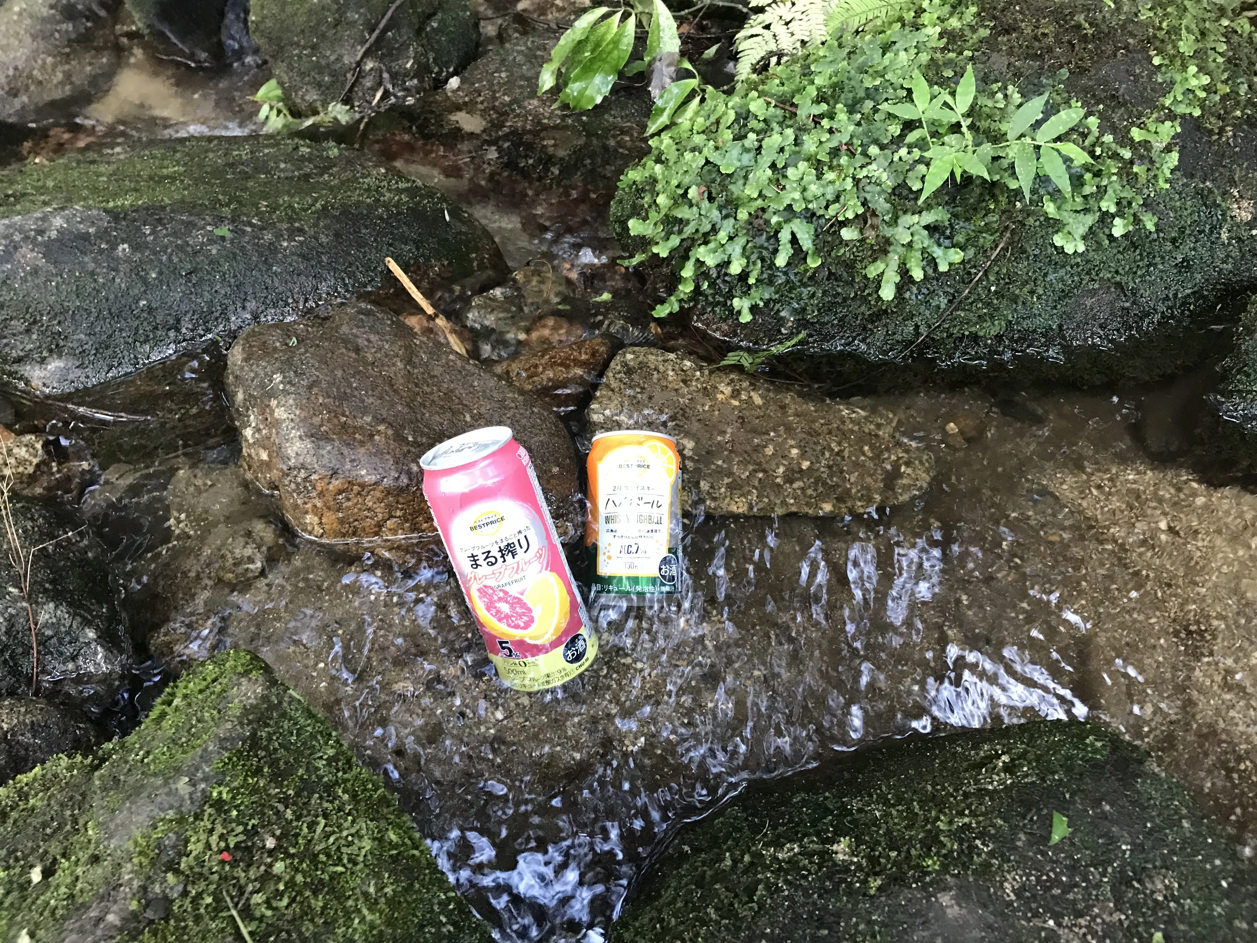 33 折りたたみ自転車で真夏の輪行ソロキャンプ/茨城県にこにこキャンプ