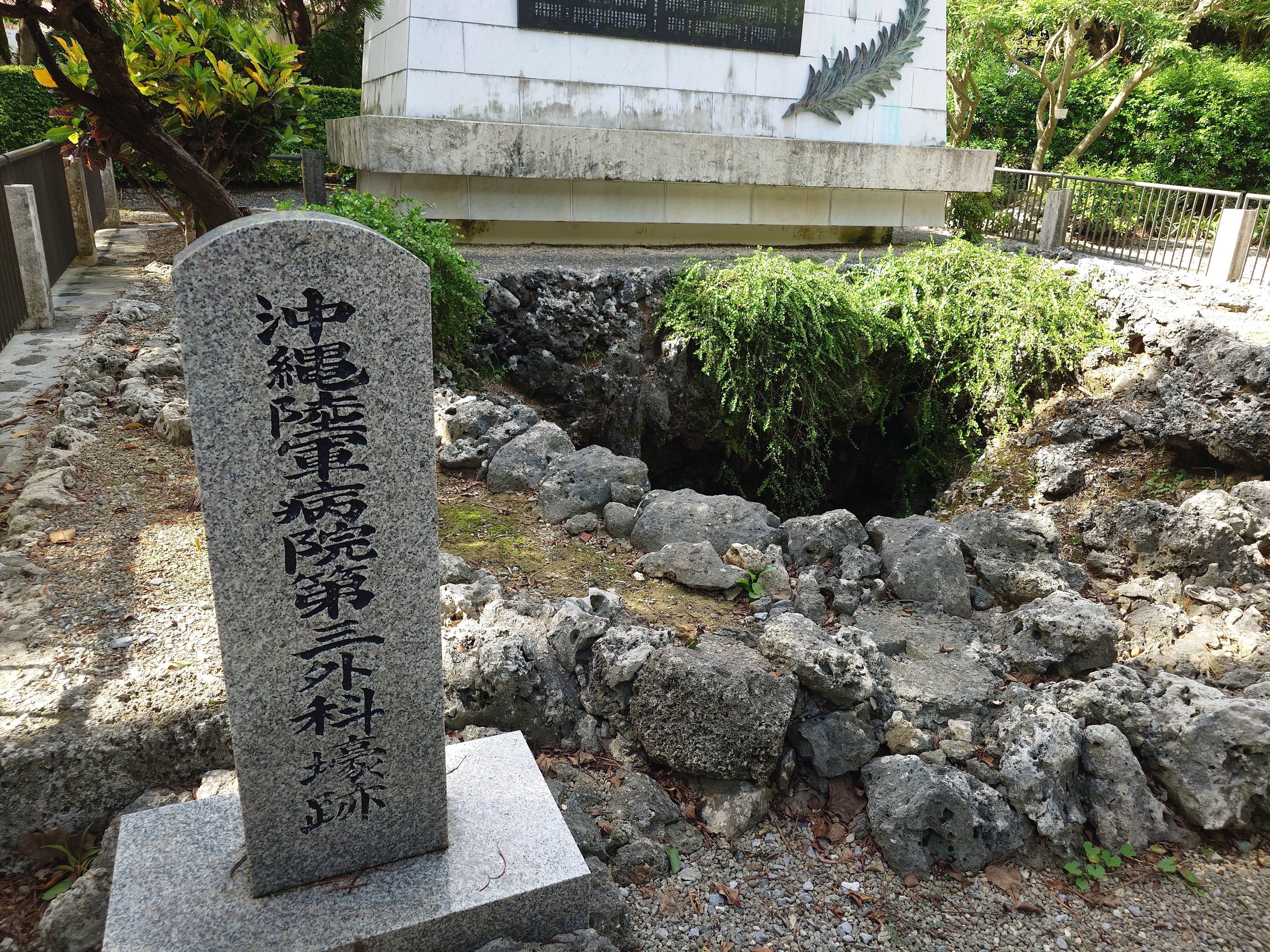 中古】 おきなわの石ころと化石 島じまの地層めぐり / 沖縄県