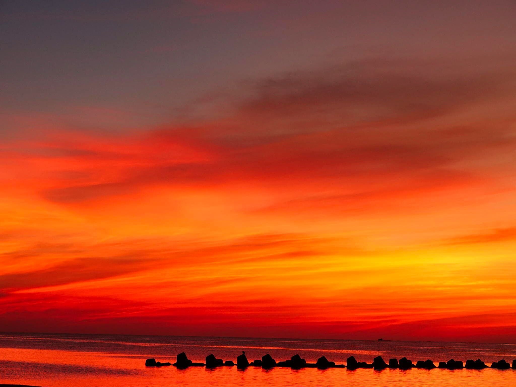 風早のだるま夕日 楽天市場】GEOMANCER DARUMA （風水 だるま） : インテリア