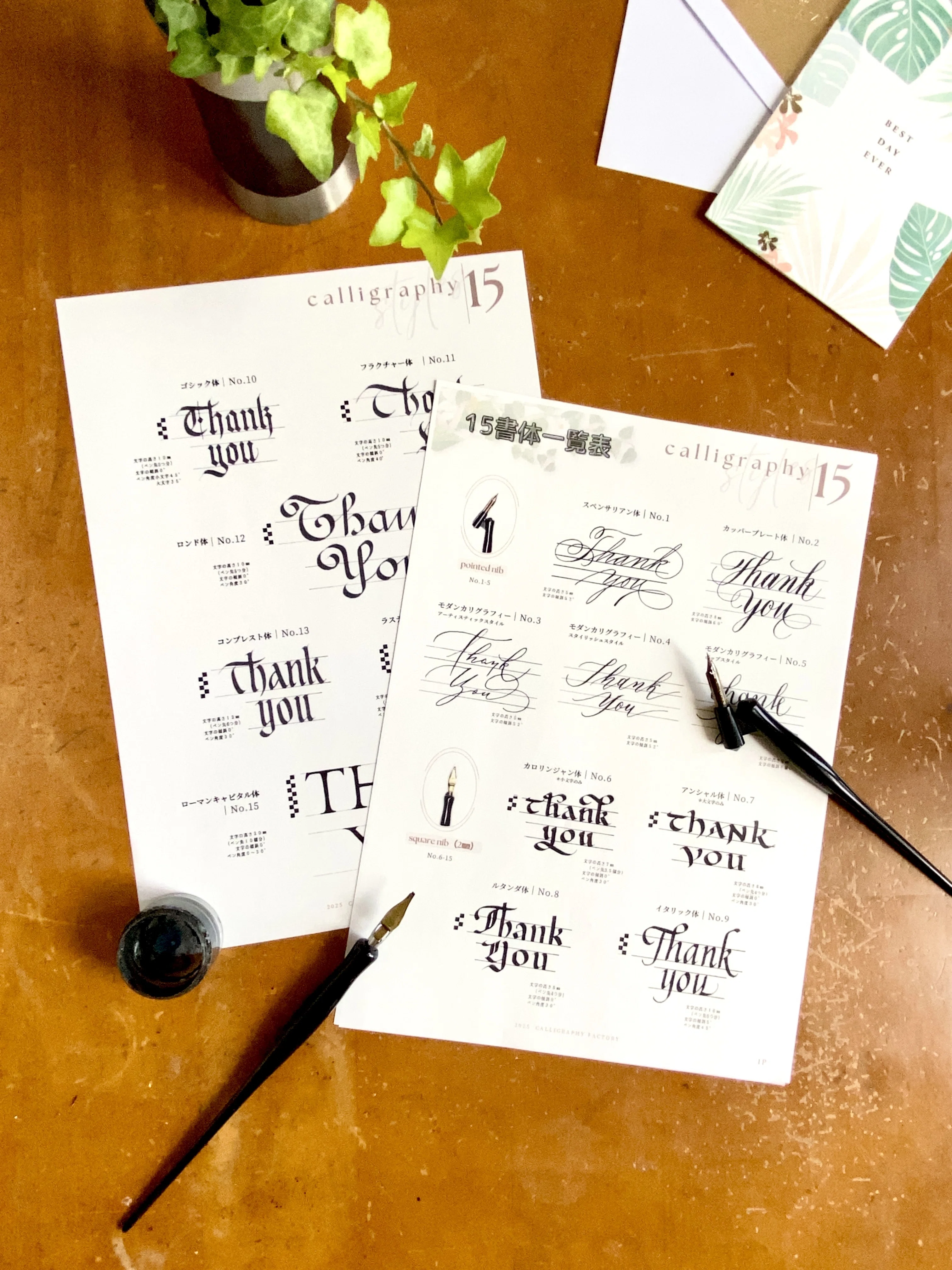 【絶版】The Art of Calligraphy カリグラフィー Definitive Guide] 15 Calligraphy Styles at a Glance - Short Video