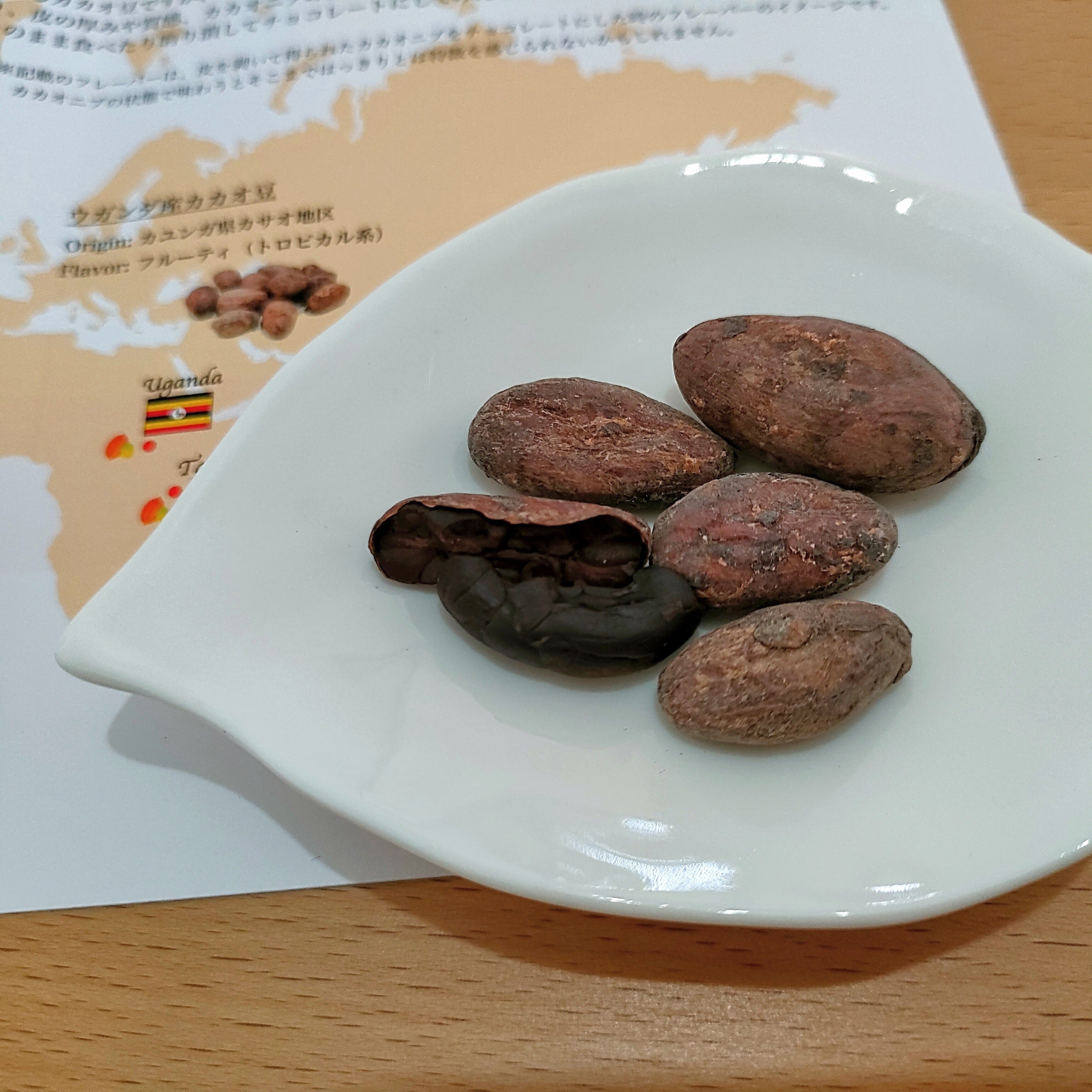 2U chocolate】5カ国のカカオ豆を食べ比べる｜みな