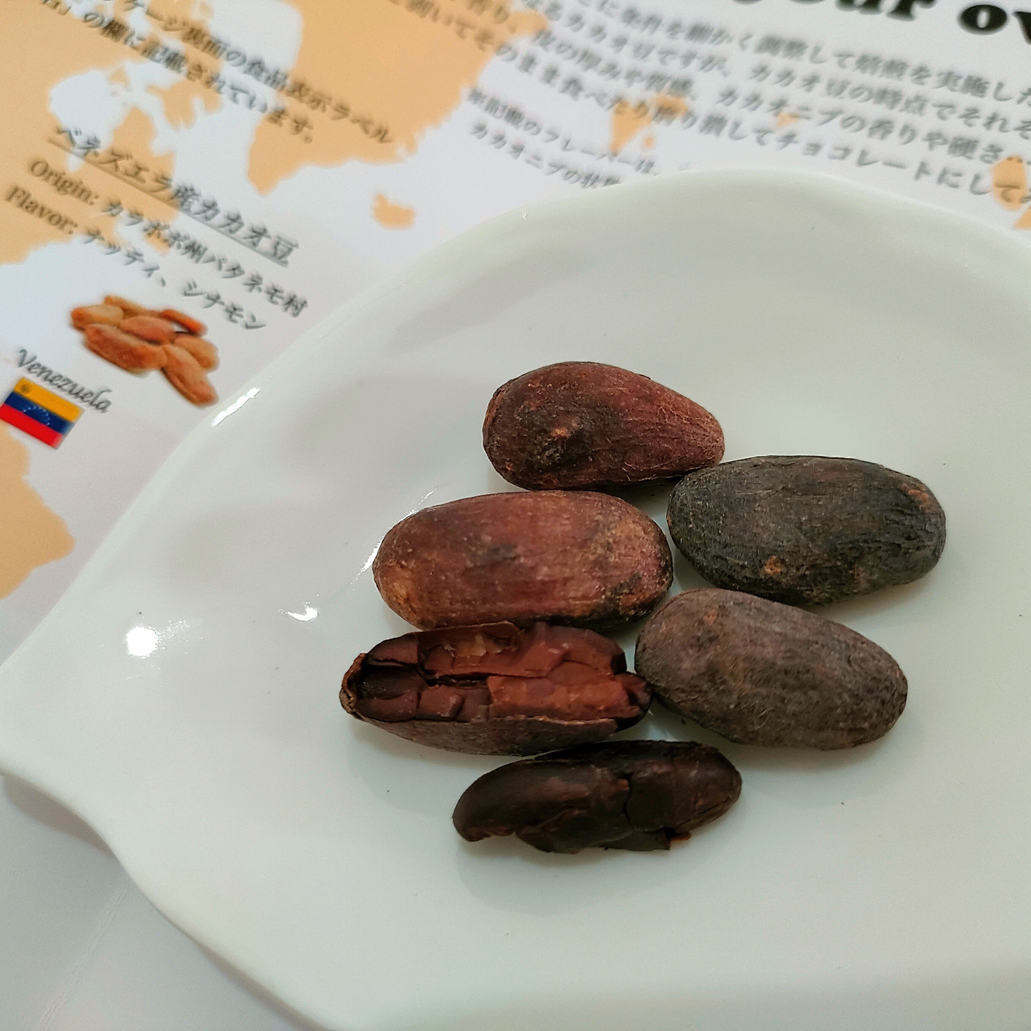 2U chocolate】5カ国のカカオ豆を食べ比べる｜みな