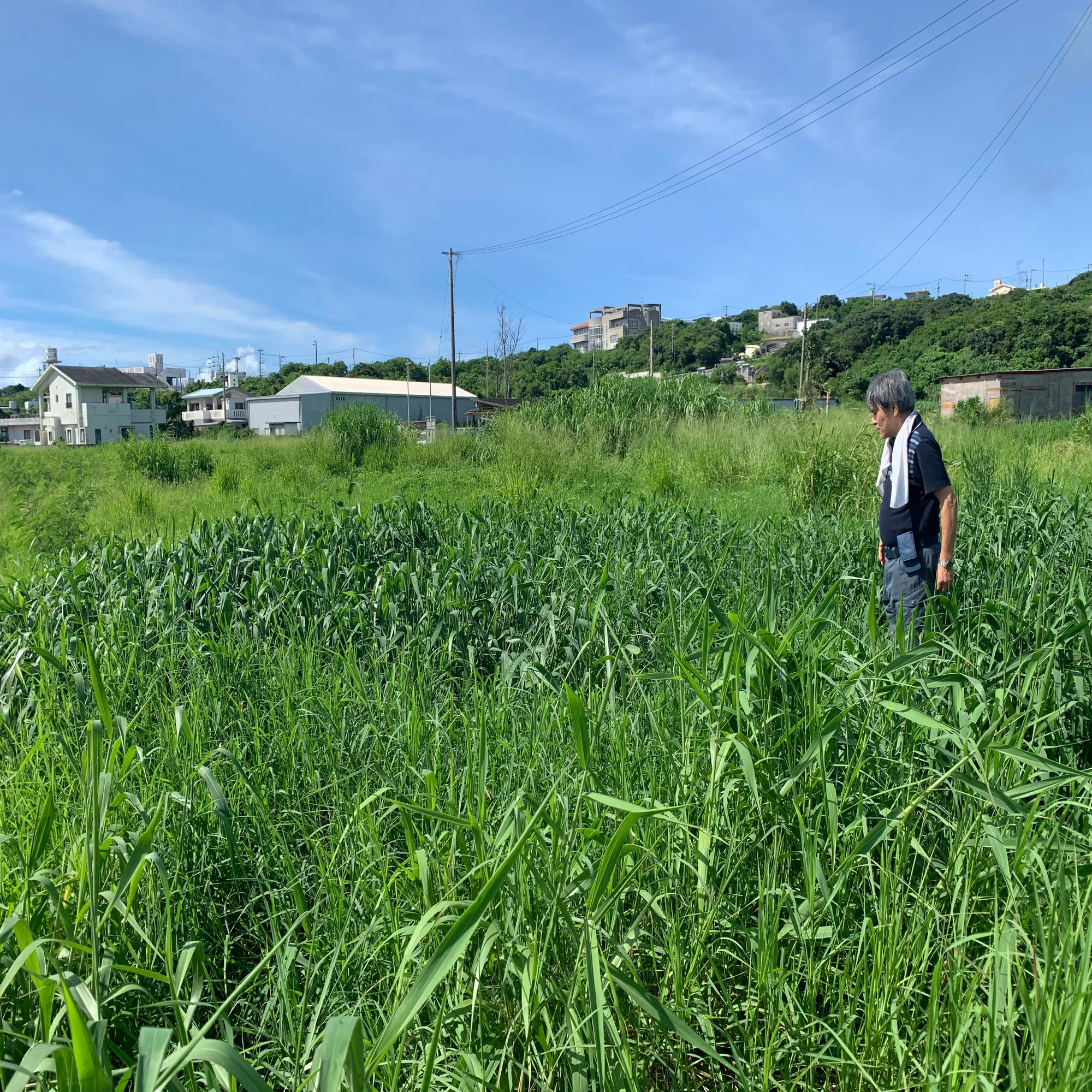 参加】うるま市津堅島湧水調査（2025年8月10日）｜すいまーるプロジェクト