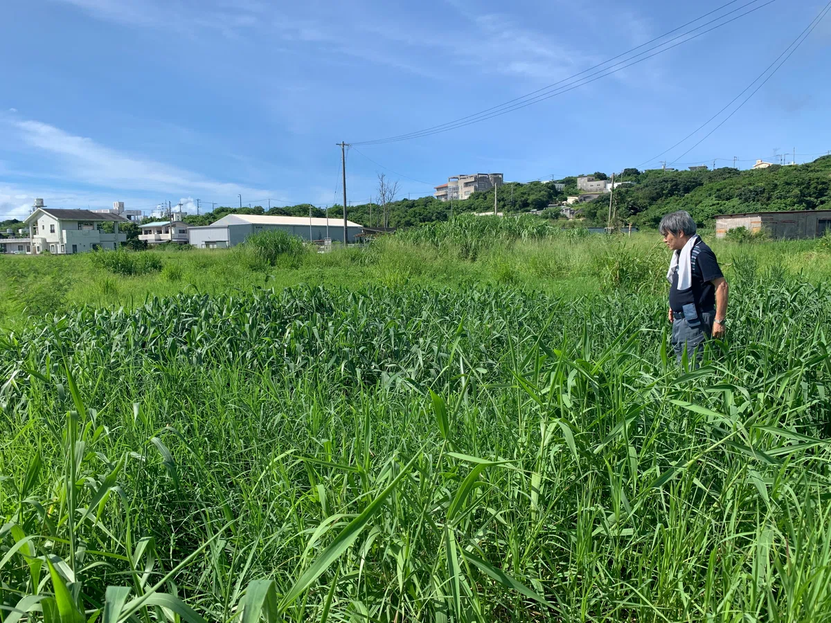参加】うるま市津堅島湧水調査（2025年8月10日）｜すいまーるプロジェクト