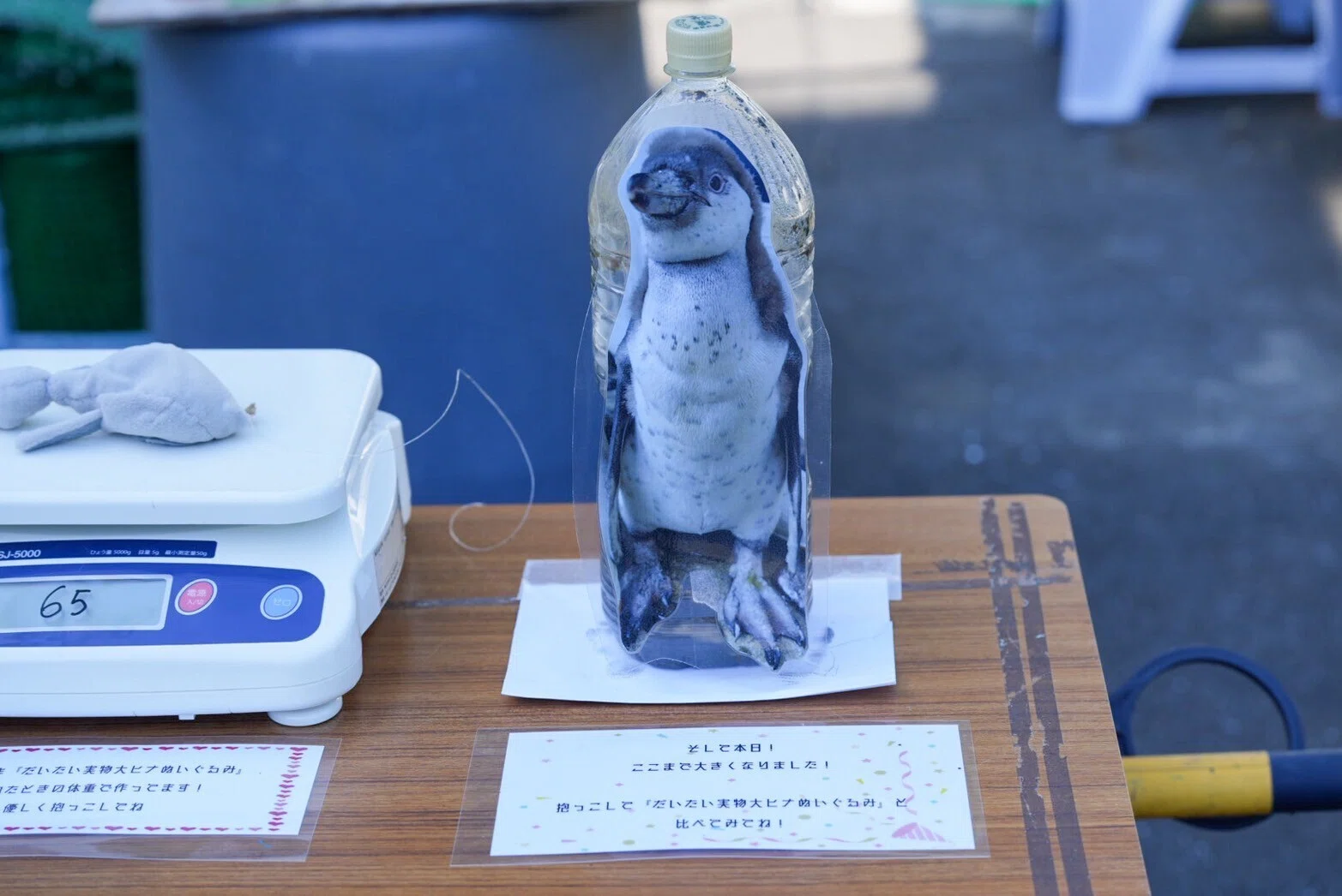 夏の夜は延長営業｜haru