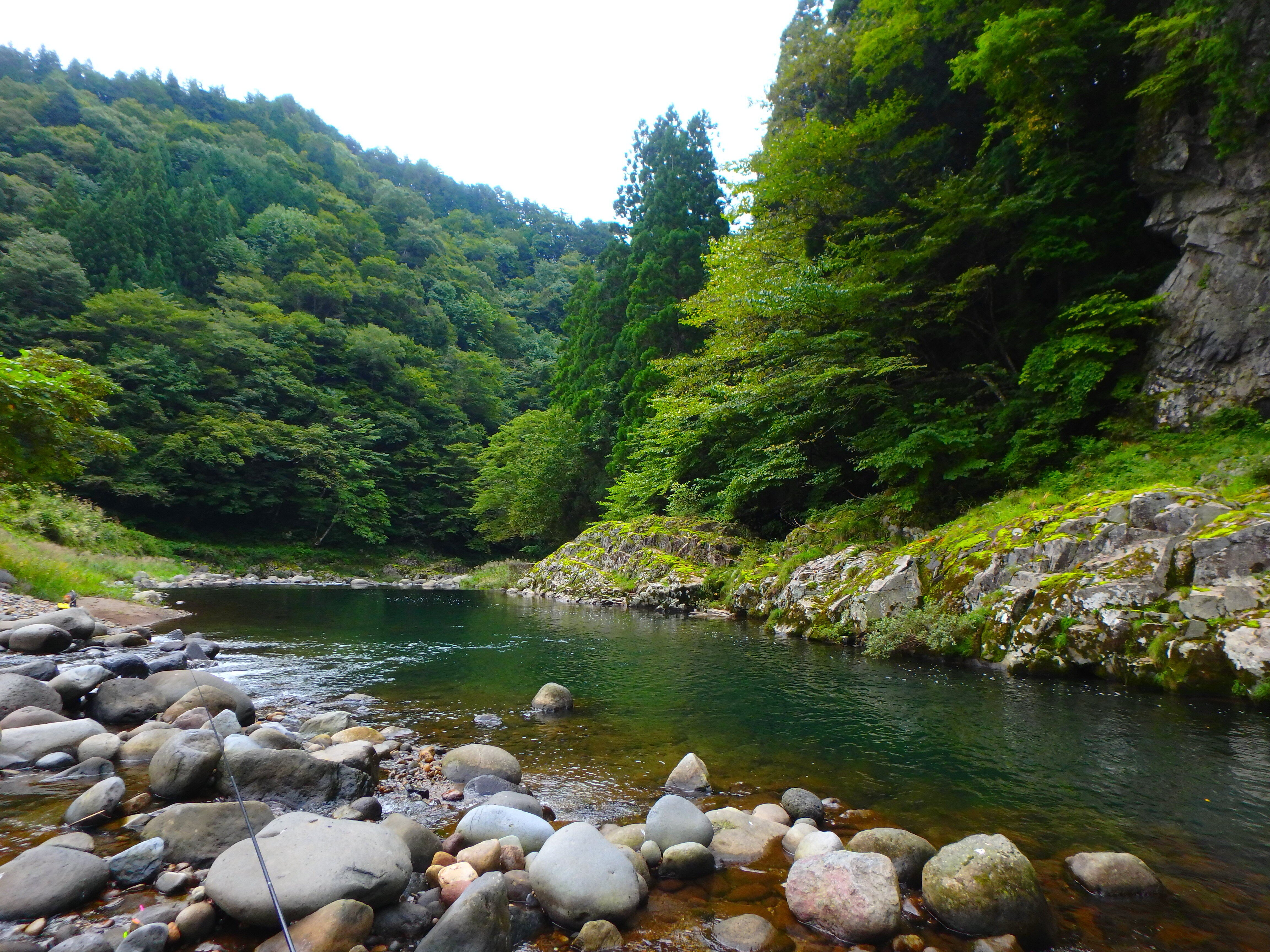 秋の彼岸の入り～長良川上流渓流釣行｜SW工房