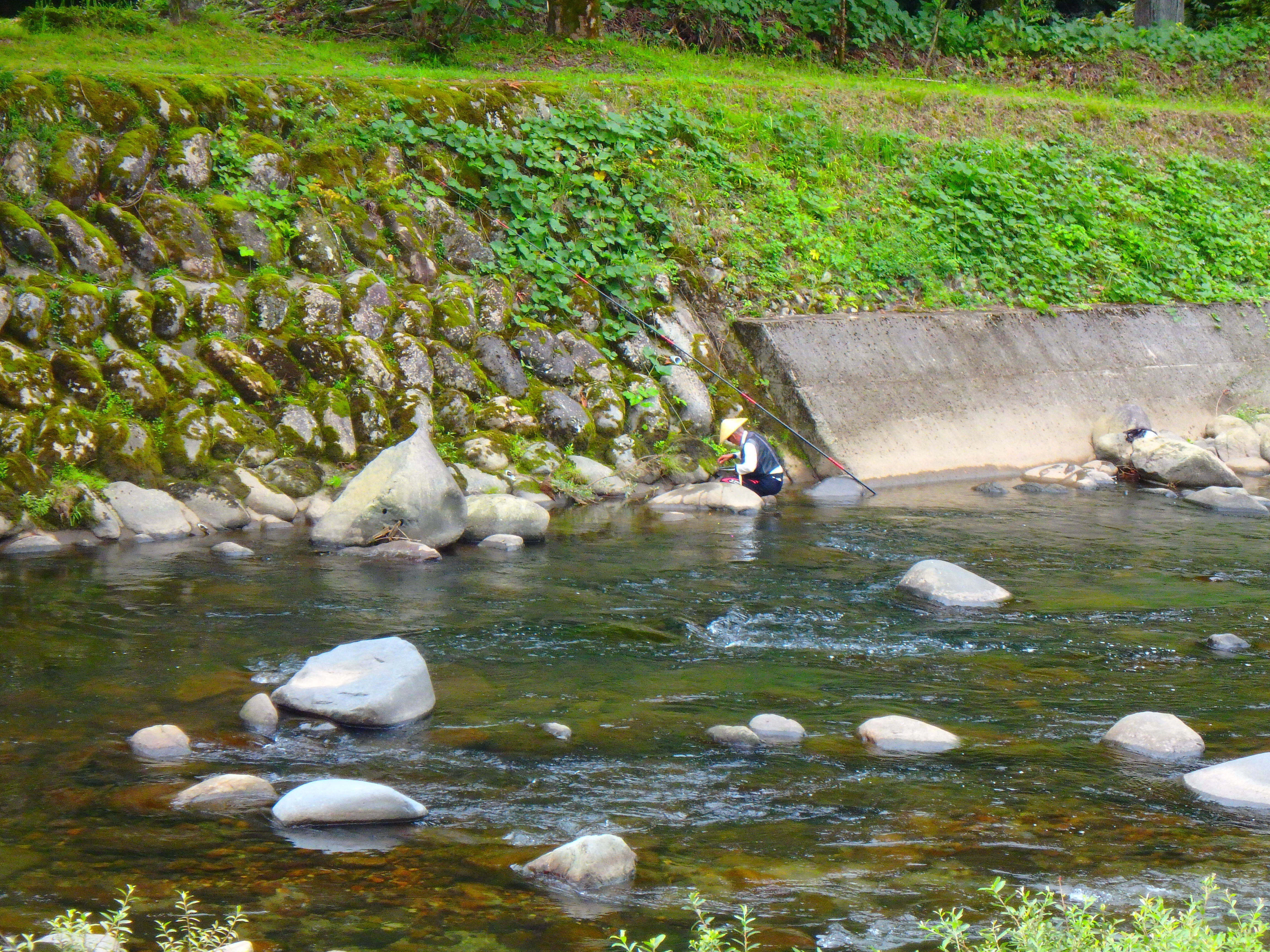 渓流 Feel like fishing anytime!] #168 Meet beautiful mountain fish