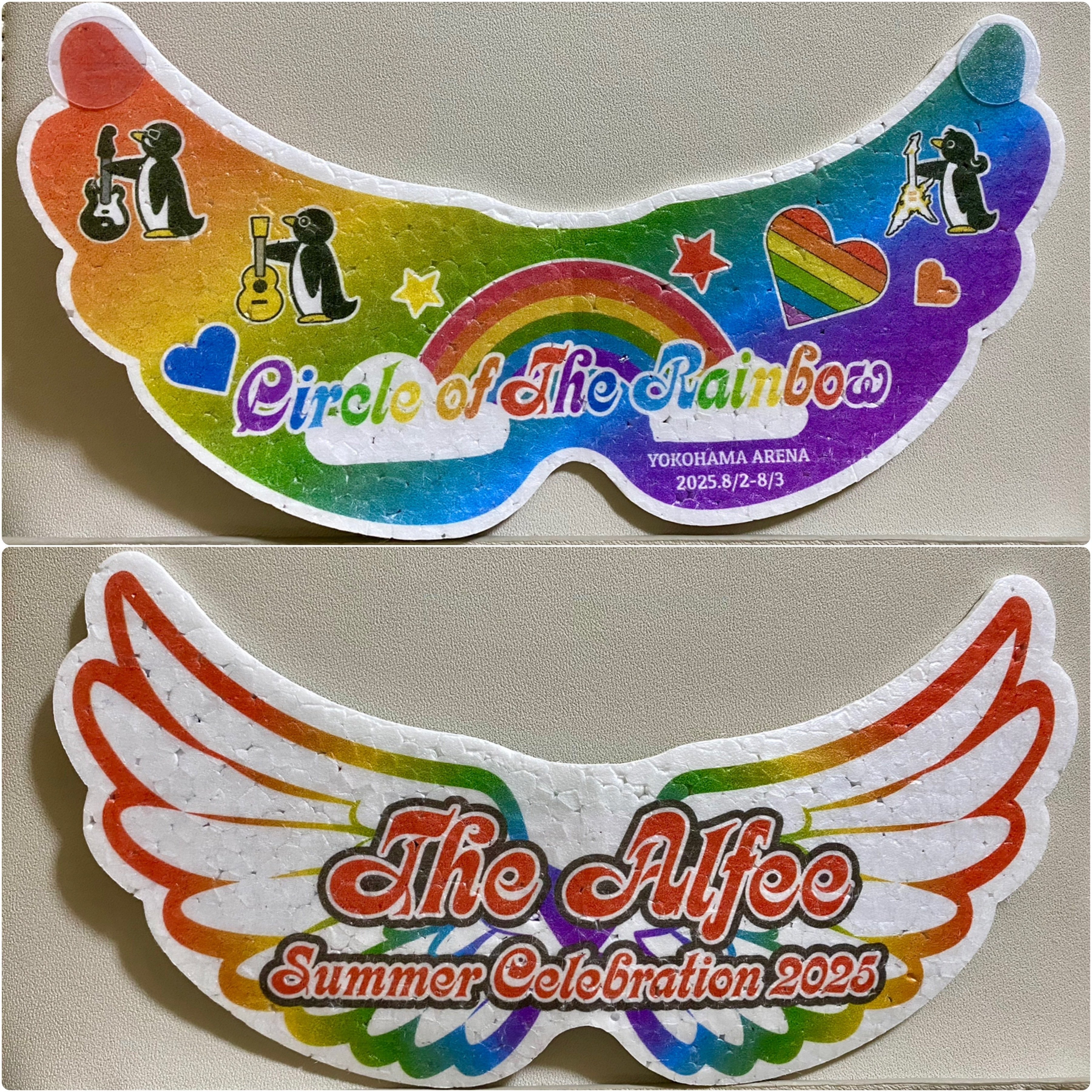 THE ALFEE Circle of The Rainbow 2025年 THE ALFEE Circle of the Rainbow 2025年 DVD パンフレット 新品