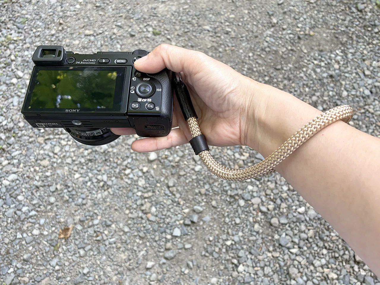 α6000】10年以上前のカメラとキットレンズはまだまだ使えるよー