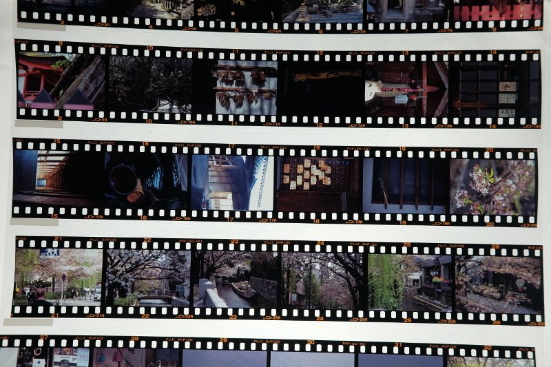 1*0様 fujifilm 大判45 QuickLoad リバーサルフィルム 1*0様 fujifilm 大判45 QuickLoad リバーサルフィルム 1*0様 fujifilm