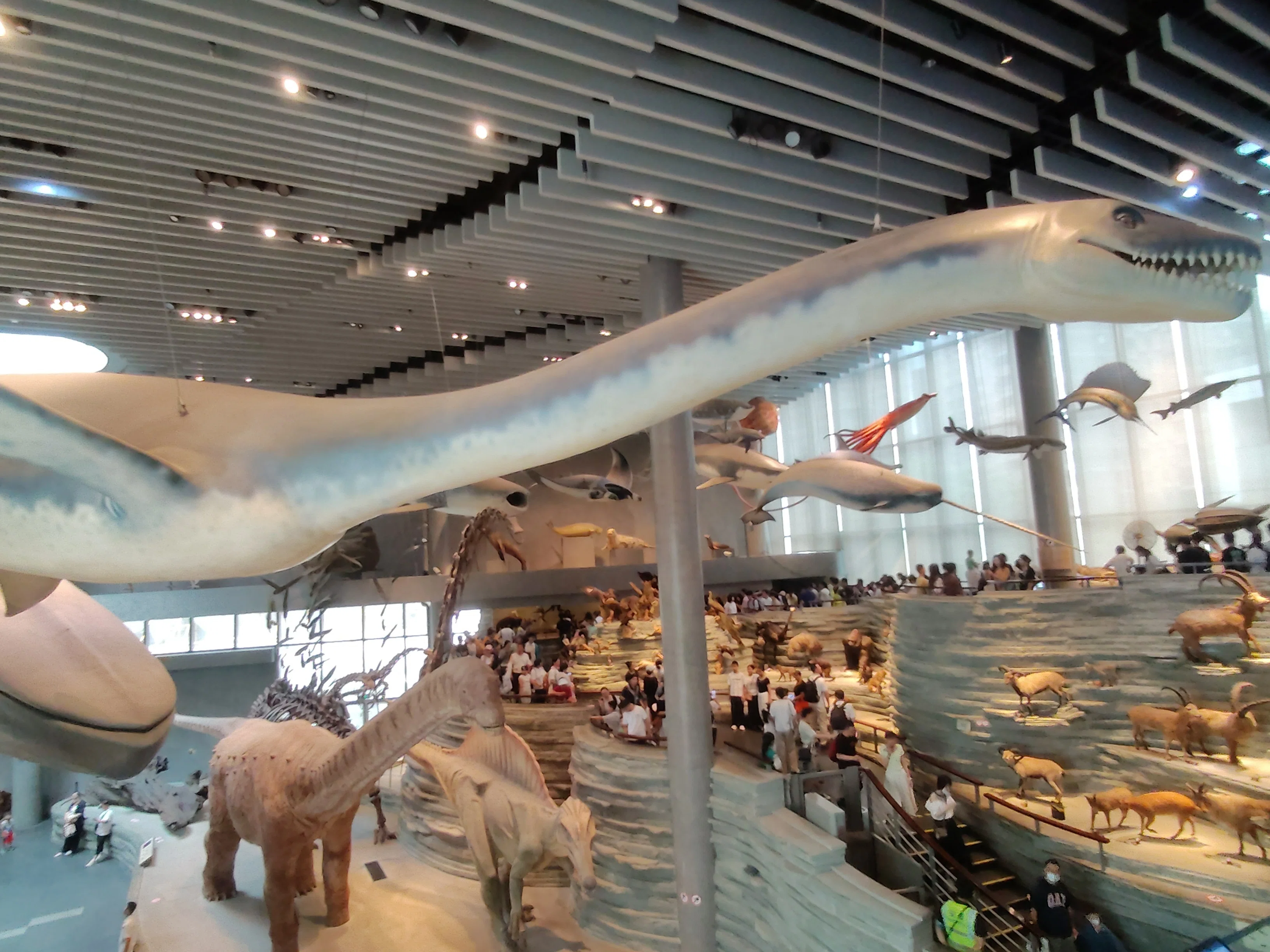 上海の国立博物館置物 上海の国立博物館置物| ヤマダウェブコム
