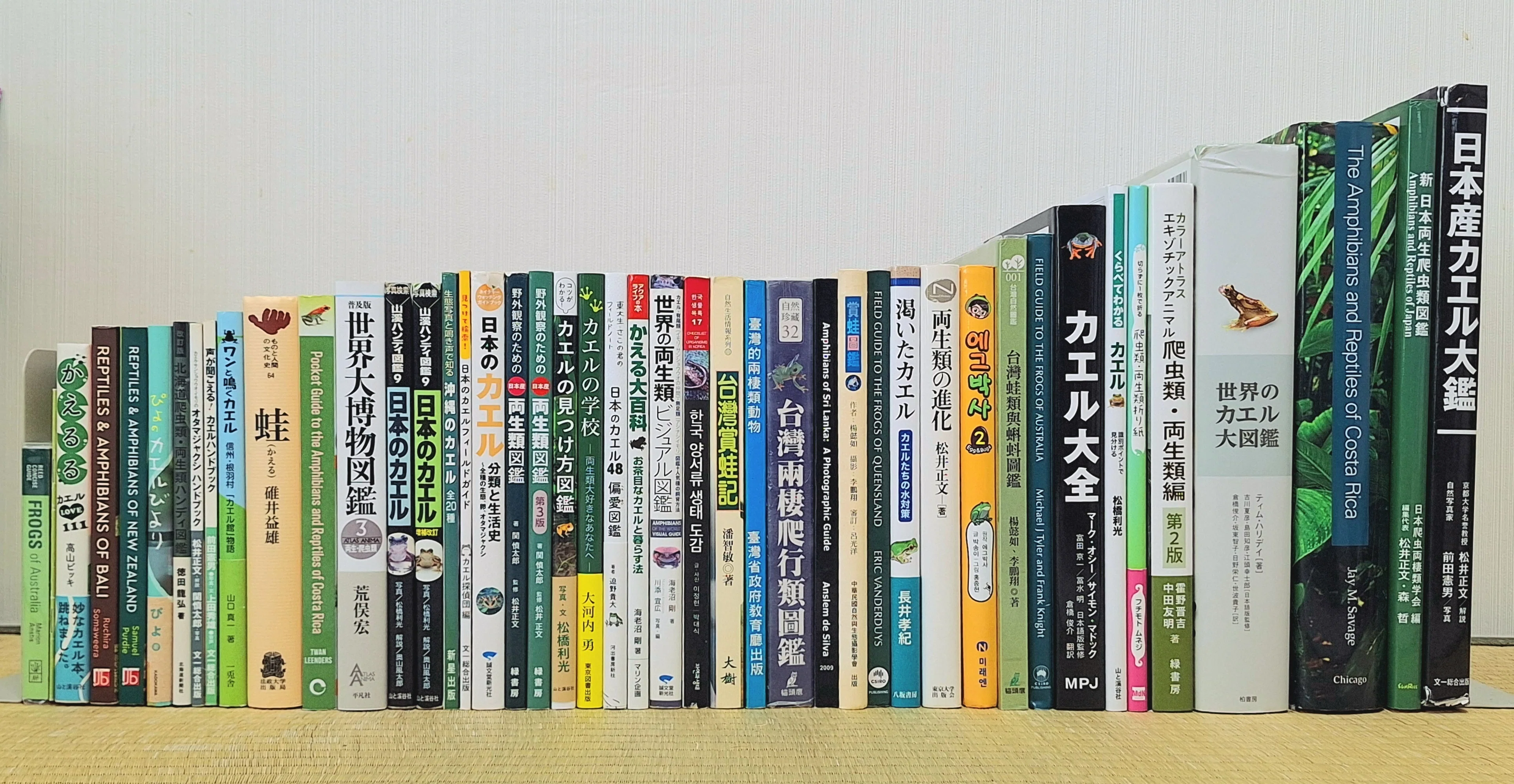 カエル好きが、心からおすすめするカエル本。｜ヤマケイの本