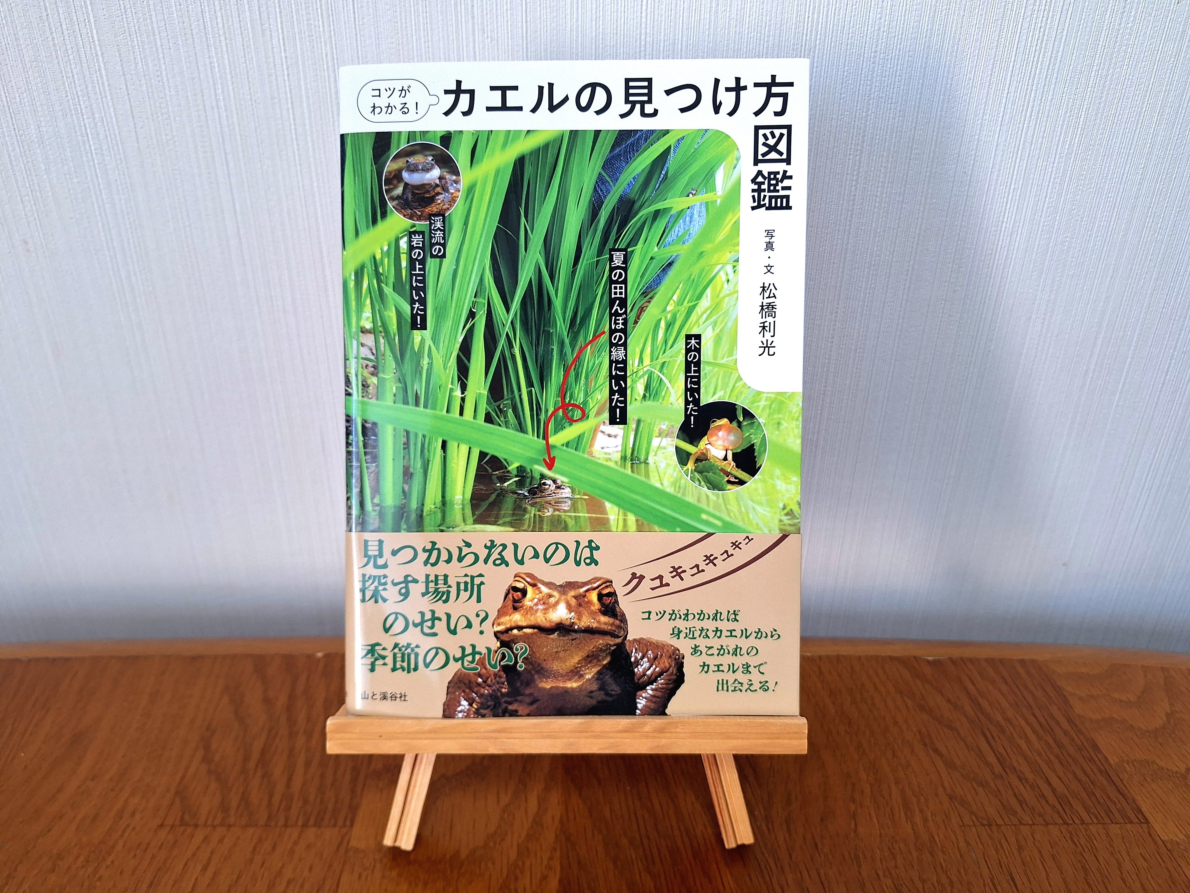 カエル好きが、心からおすすめするカエル本。｜ヤマケイの本