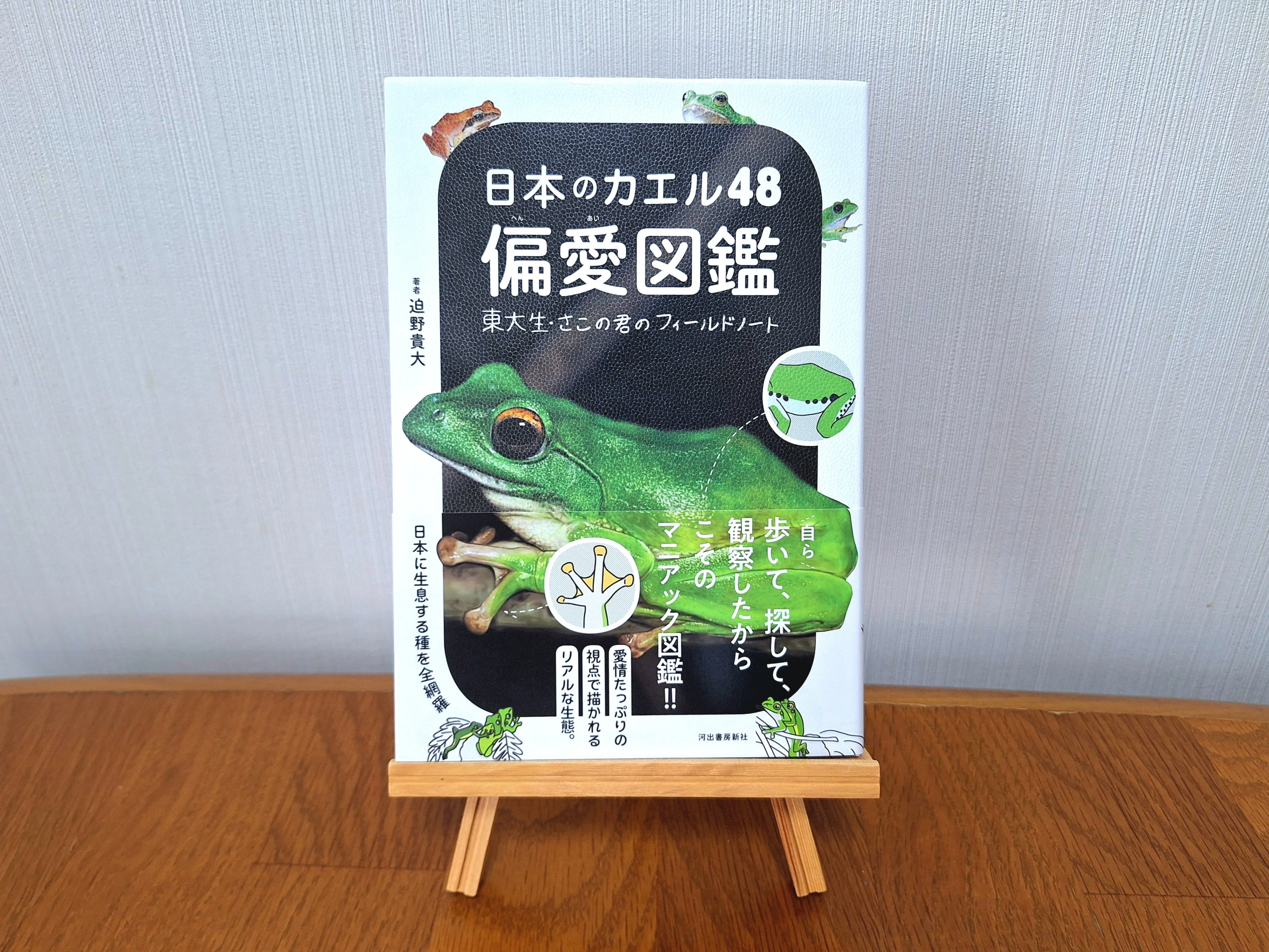 カエル好きが、心からおすすめするカエル本。｜ヤマケイの本