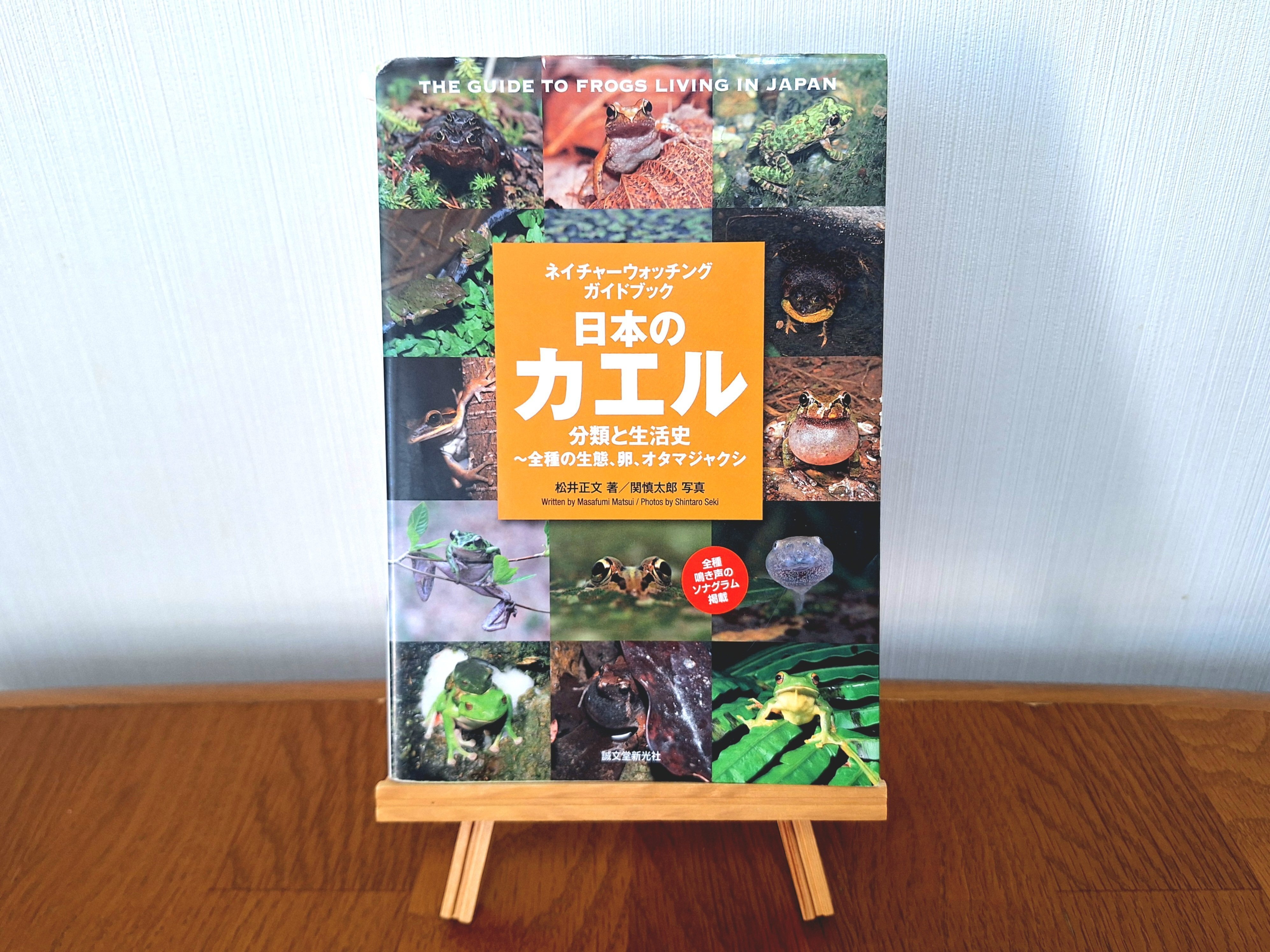 カエル好きが、心からおすすめするカエル本。｜ヤマケイの本