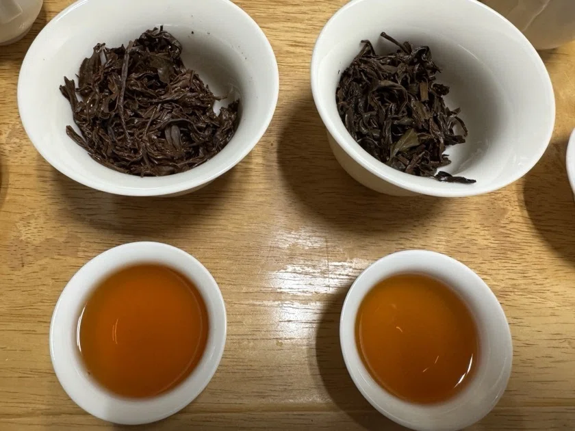 台湾茶（紅玉紅茶＆蜜香紅茶）を飲む250816｜横山武志／建築家・「臺灣