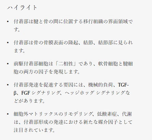 付着部の成長とメカノバイオロジー|Brain storm conditioning 〜 脳からコンディショニング