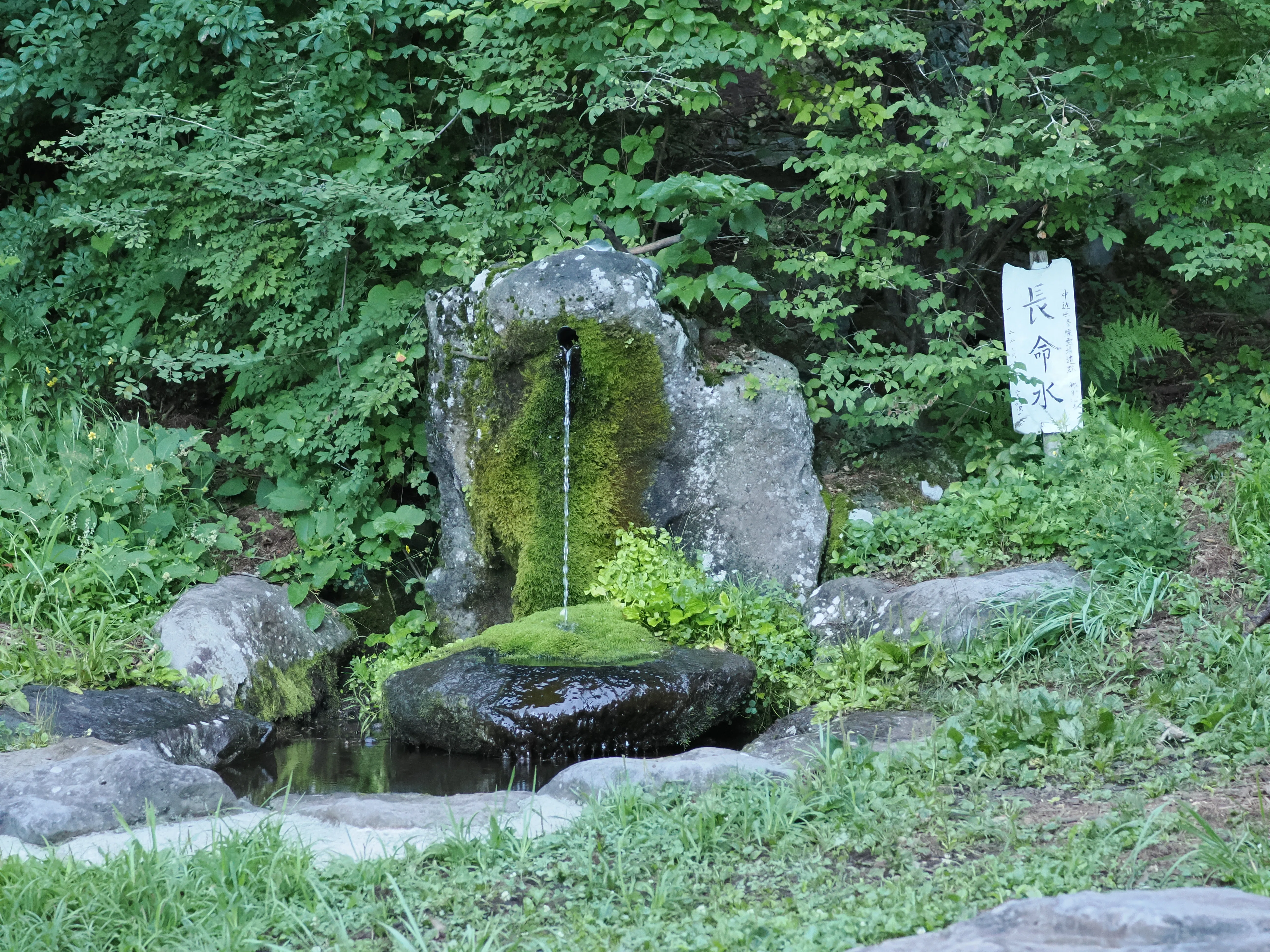 八ヶ岳山麓、編笠山と自然文化園で鳥見｜akira@fuchu