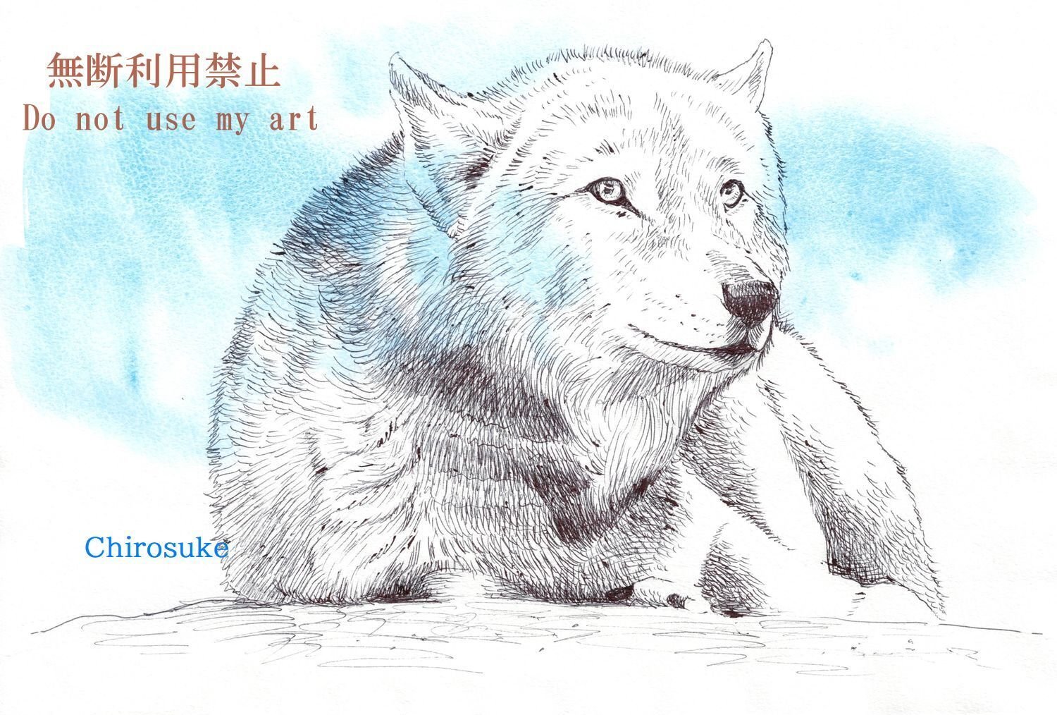 淡雪の狼 色鉛筆画 パステル 淡雪の狼 色鉛筆画 パステル 淡雪の狼 色鉛筆画 パステル 淡雪の