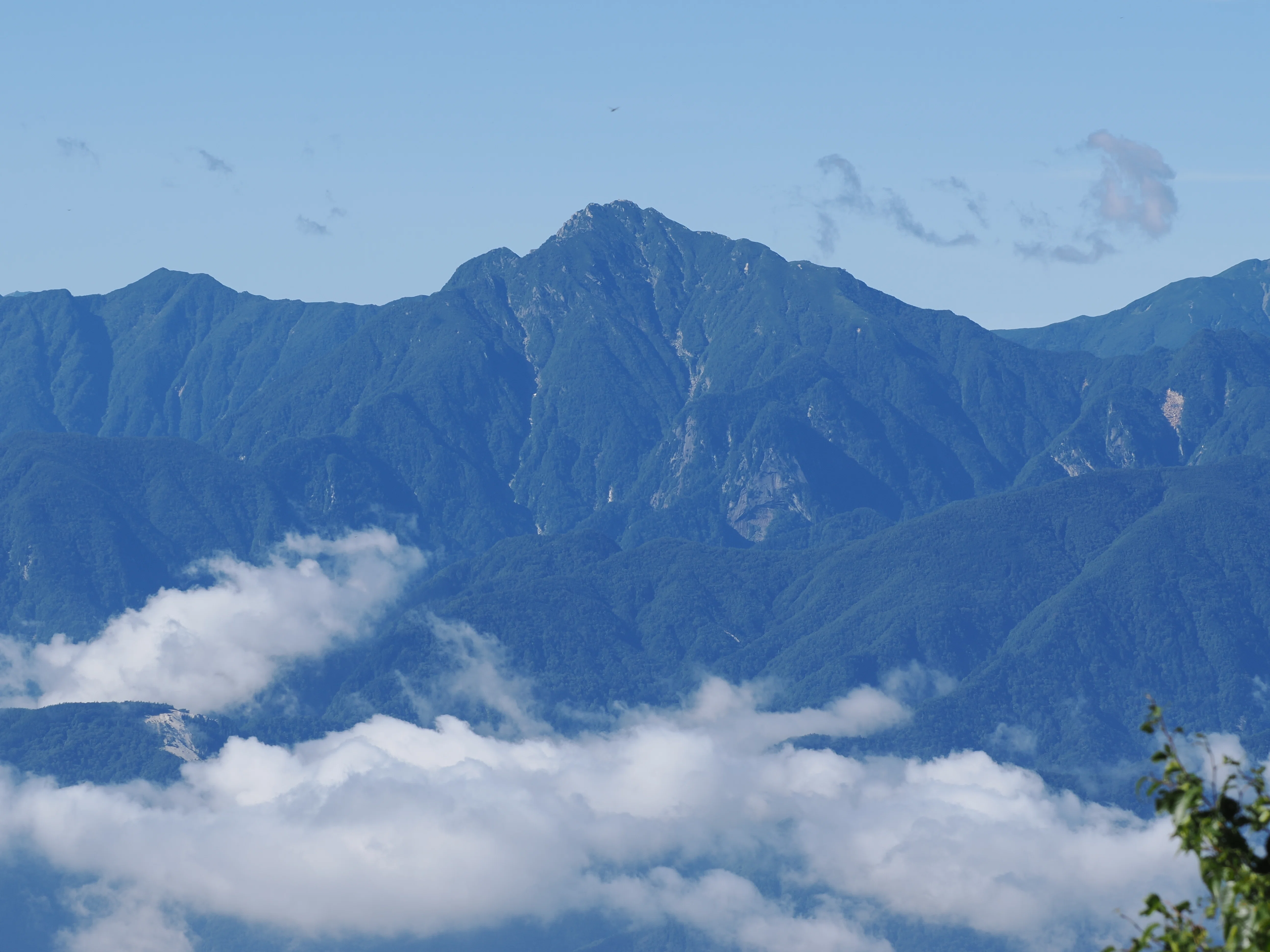 八ヶ岳山麓、編笠山と自然文化園で鳥見｜akira@fuchu