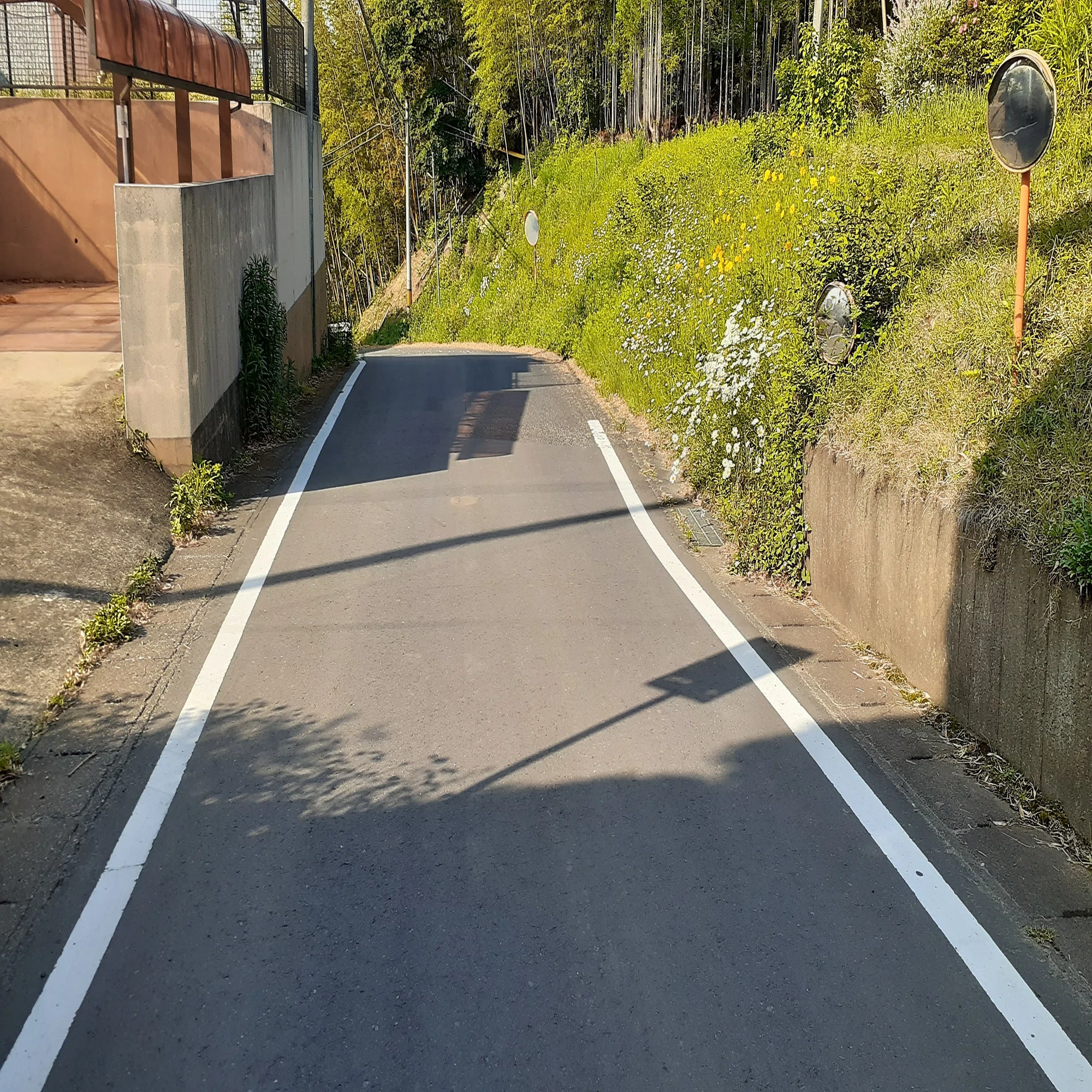 路 側帯 と は