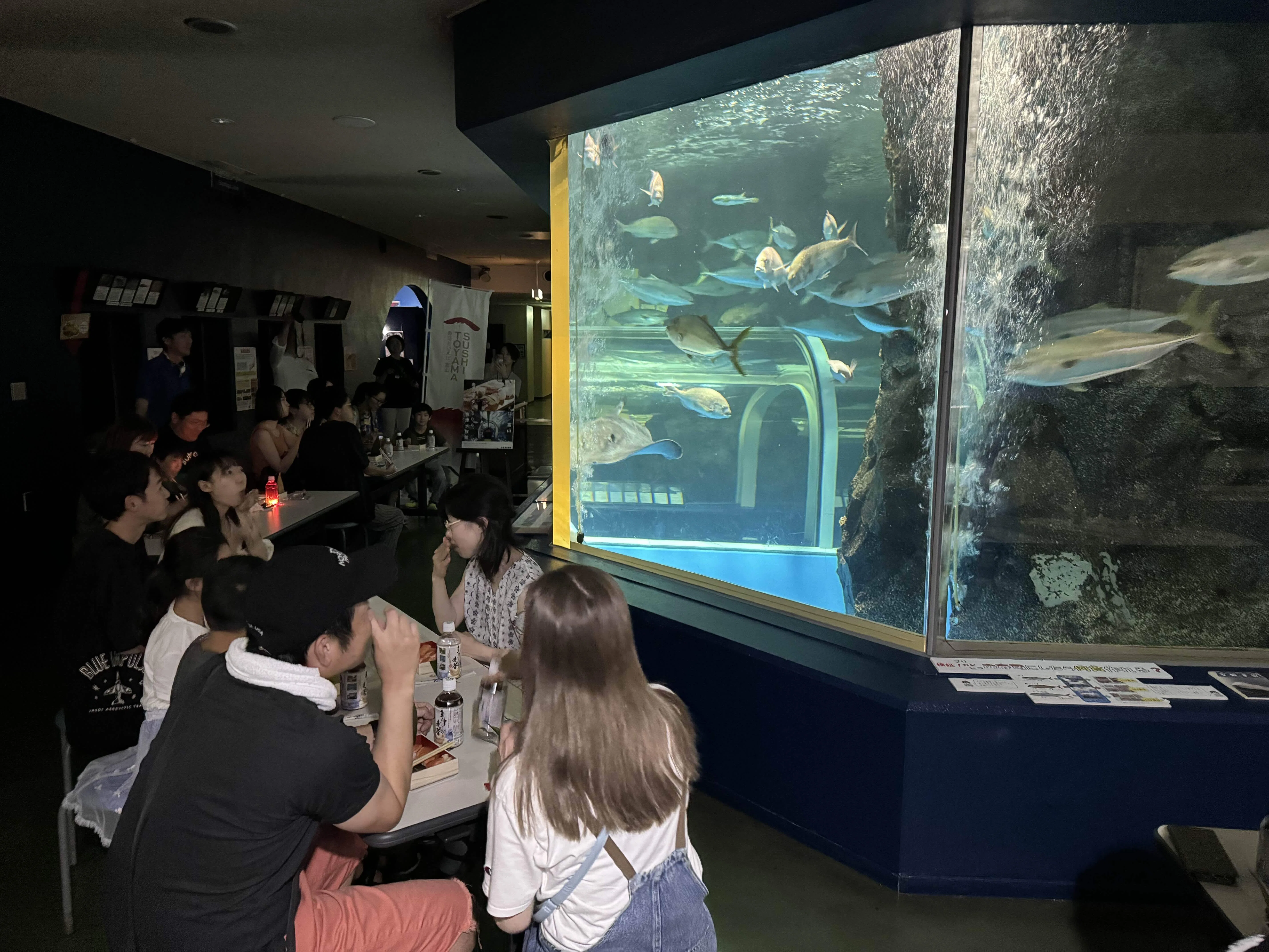 水族館でます寿し⁉️ 魚頭水族館 閉館後の特別ナイトツアーが大盛況