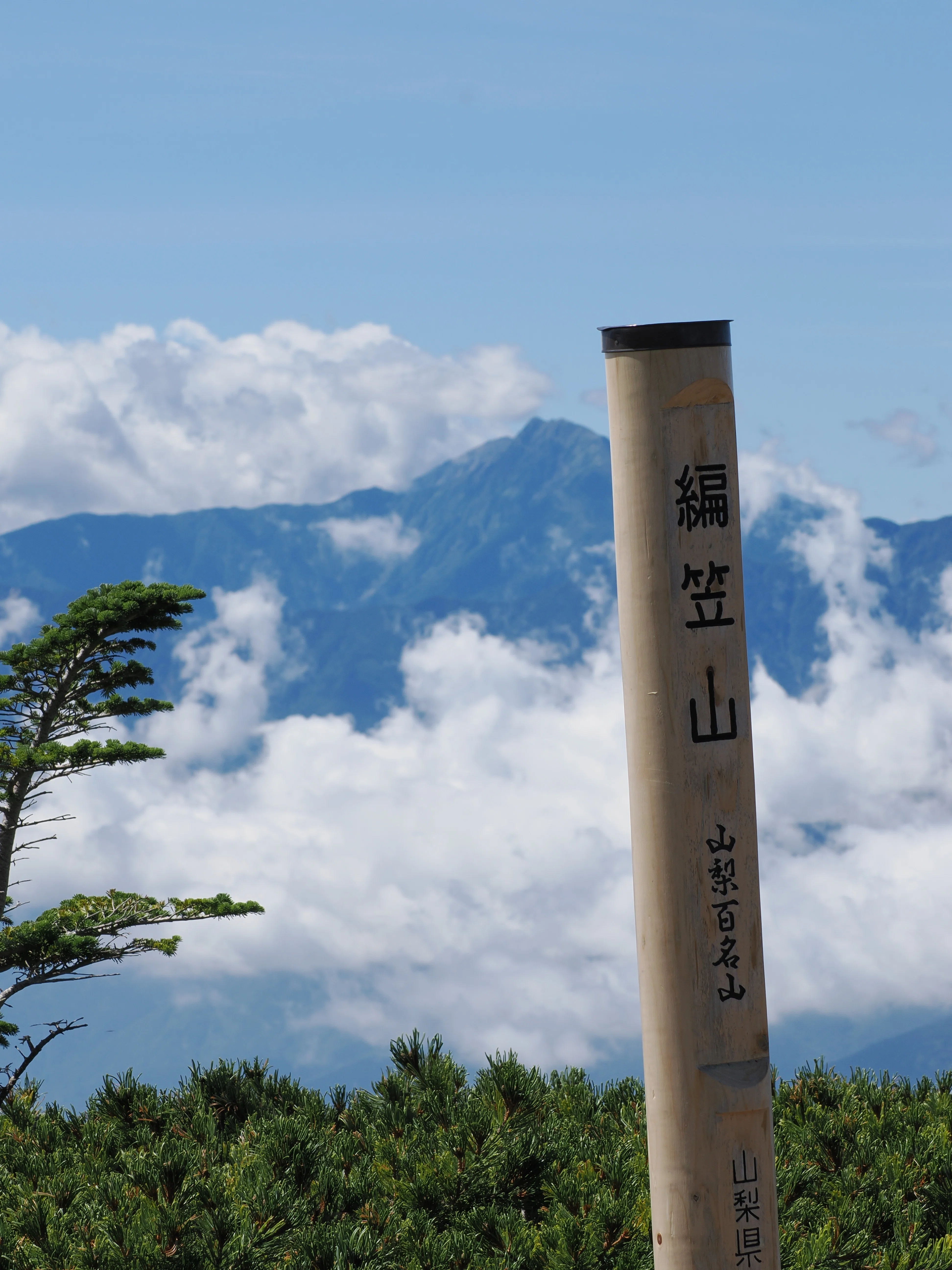 八ヶ岳山麓、編笠山と自然文化園で鳥見｜akira@fuchu