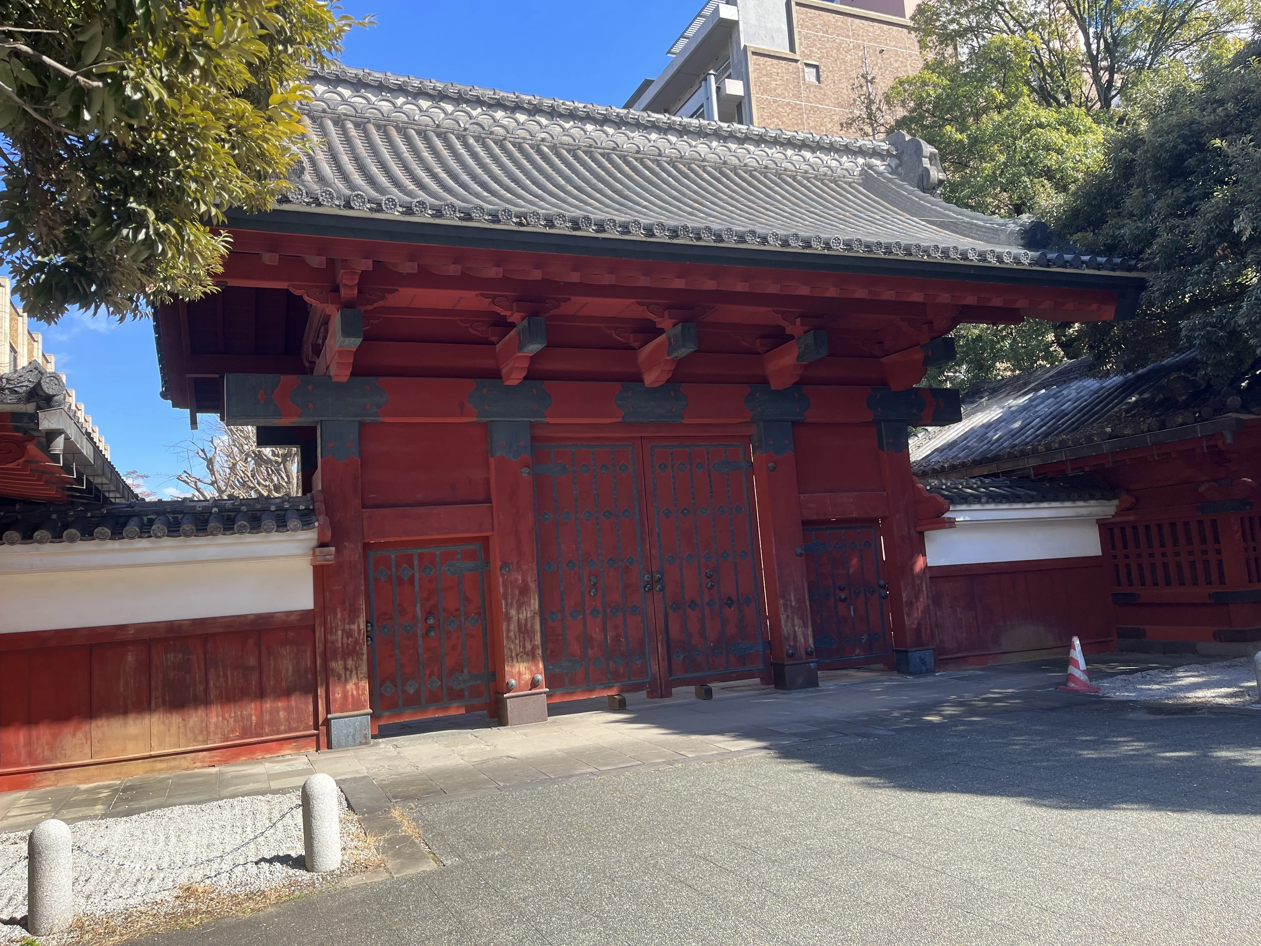 国立二次試験から半年。前半戦が終了。受験期と浪人上半期を振り返り