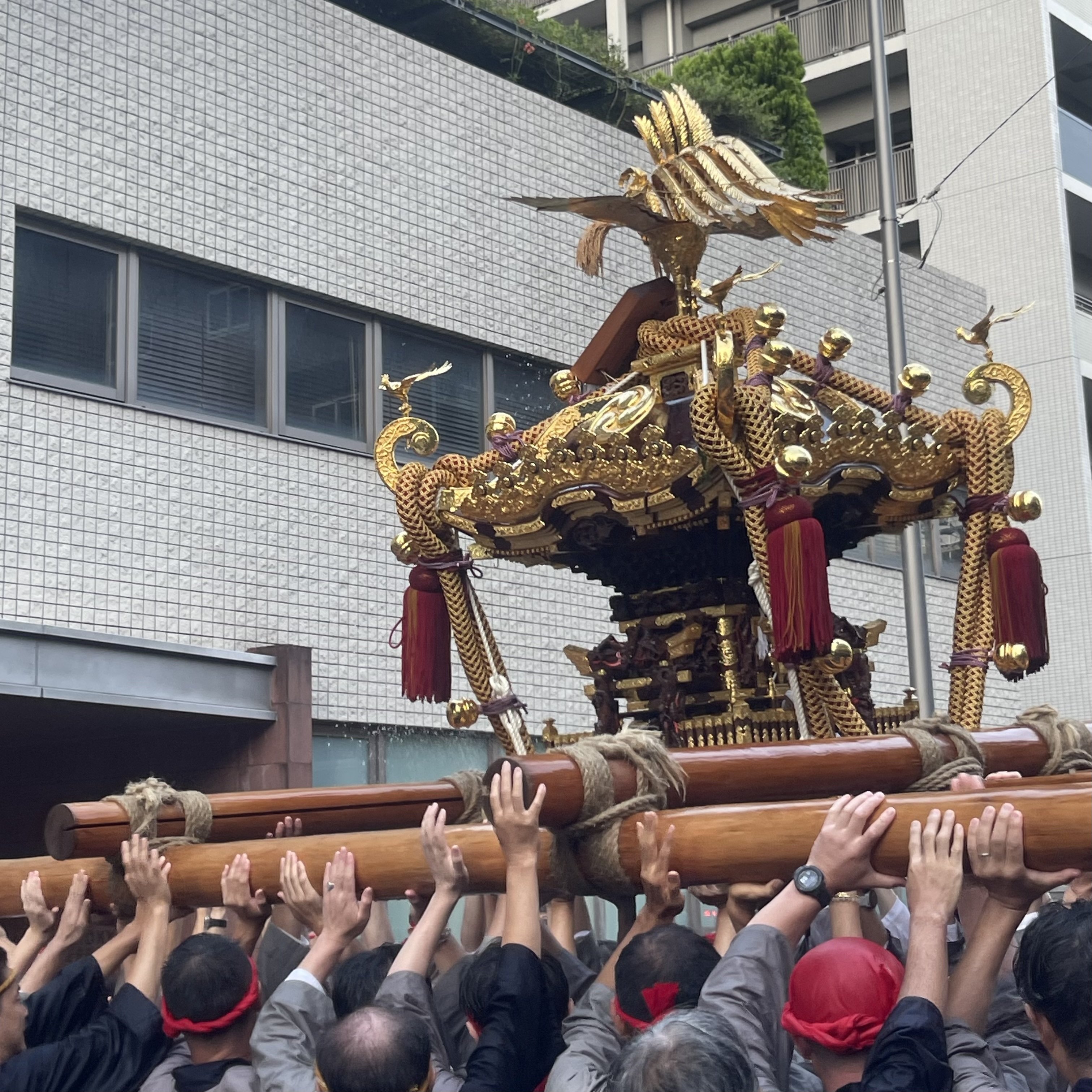 富岡八幡宮例大祭2025 二ノ宮神輿と豊洲町内神輿に参加しました