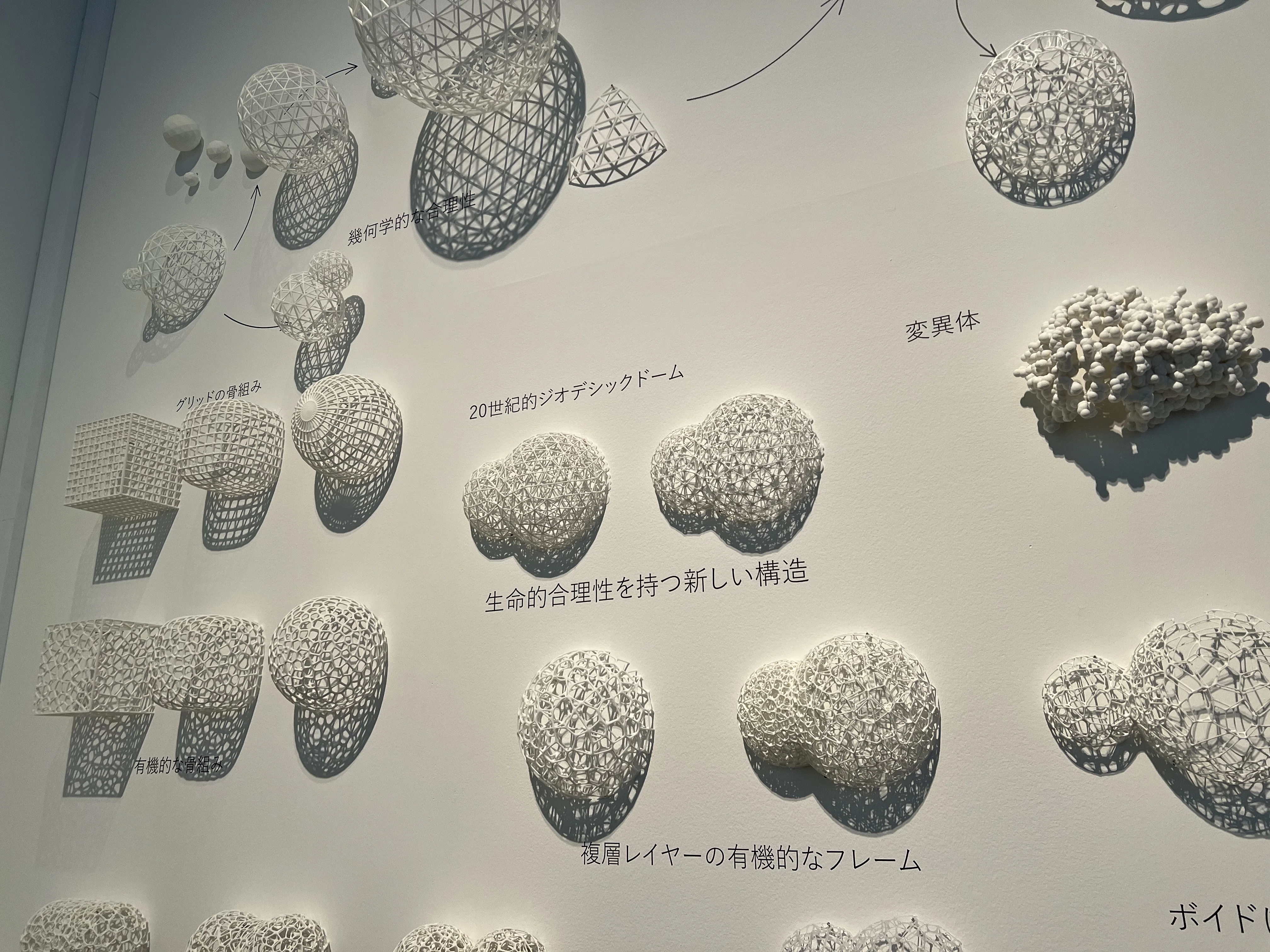 Sou Fujimoto Architecture: Primitive Future Forest｜Y.MURA