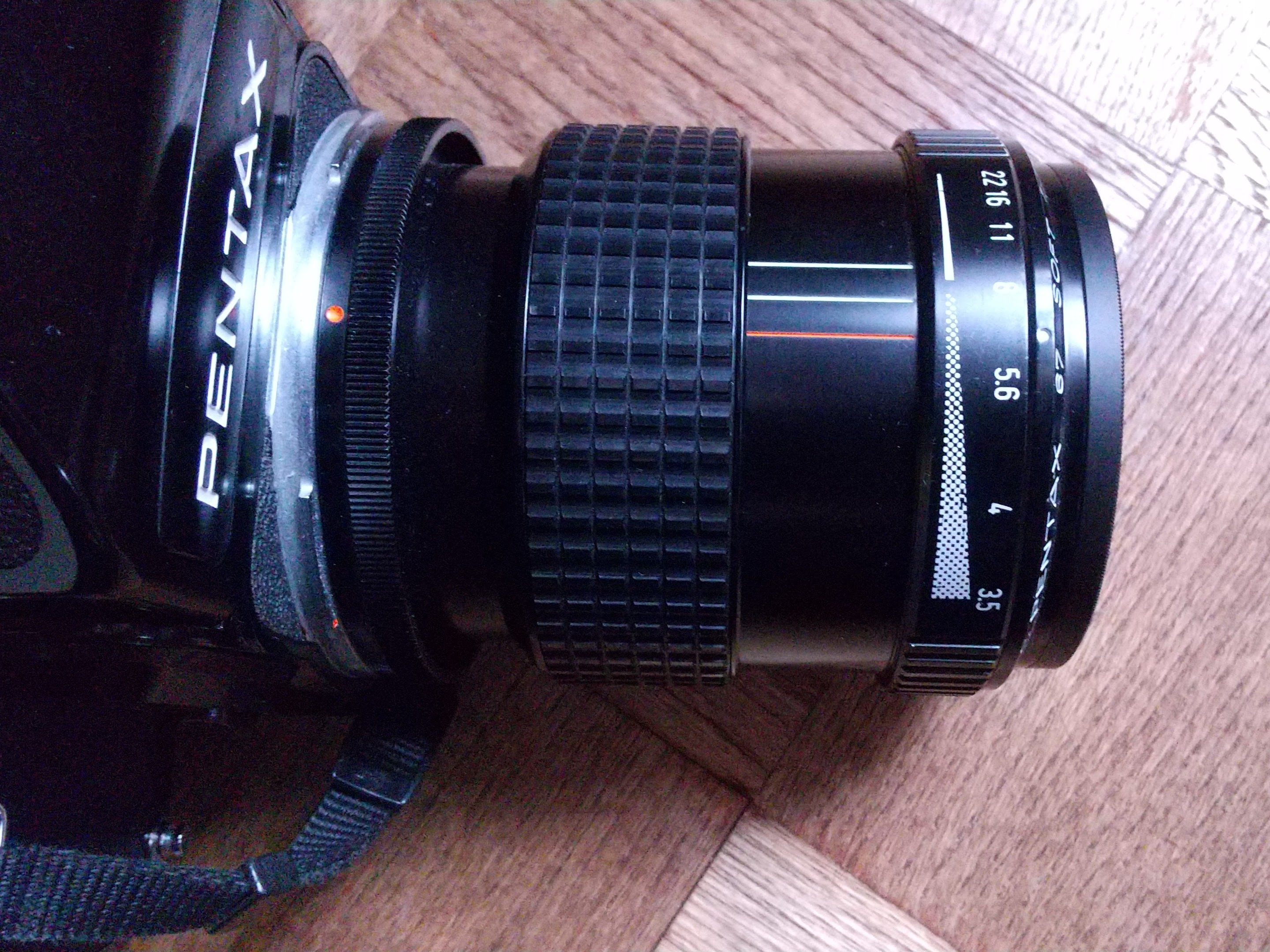 写真まとめ② 苔の森でB/Wフィルム撮影全写真公開！2025.7.31-8.1｜カメラのヤマヤ