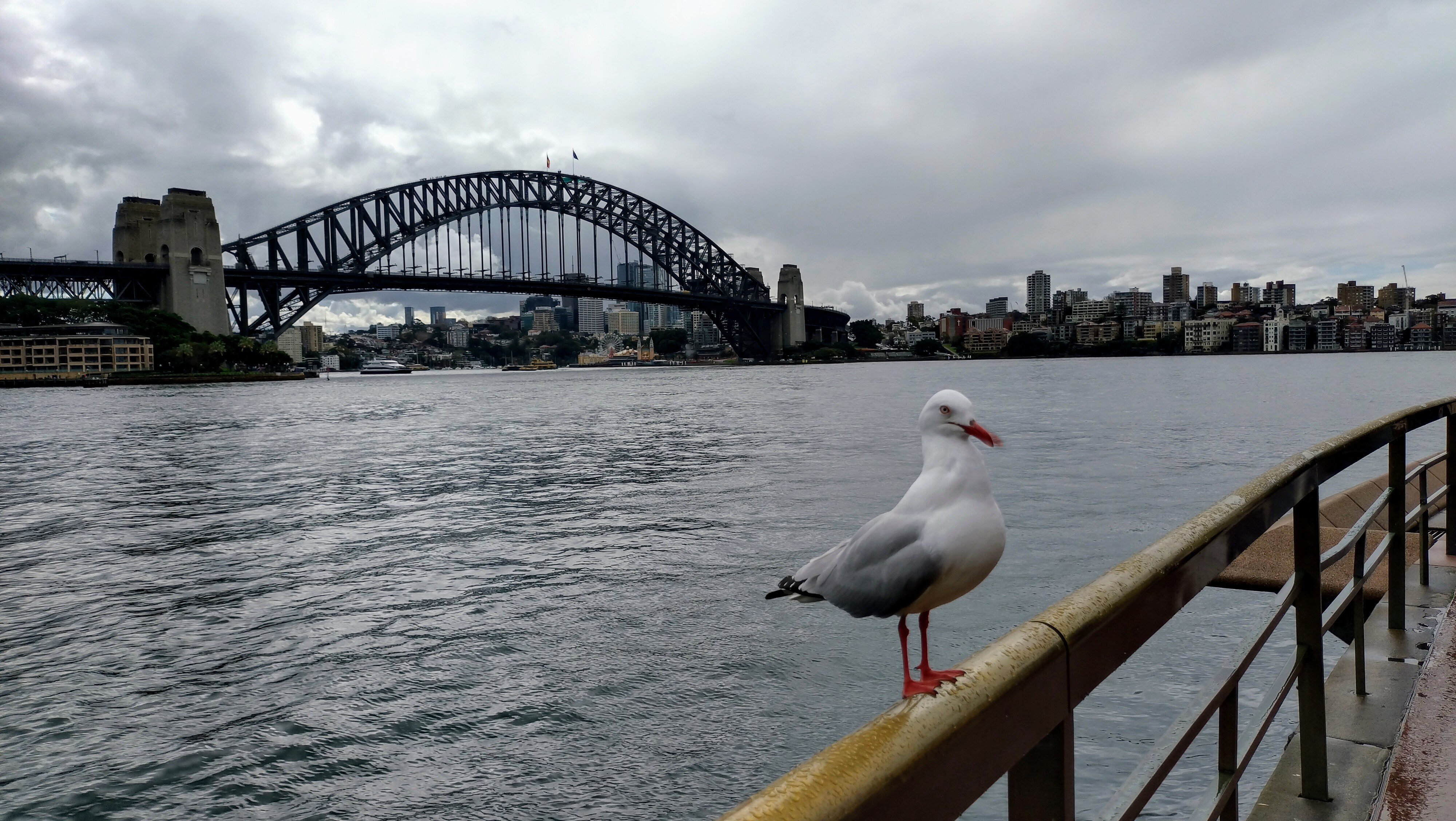 海外旅行記】冬のシドニー4泊6日③DAY2 オペラハウスツアー｜TRIP_YUKO