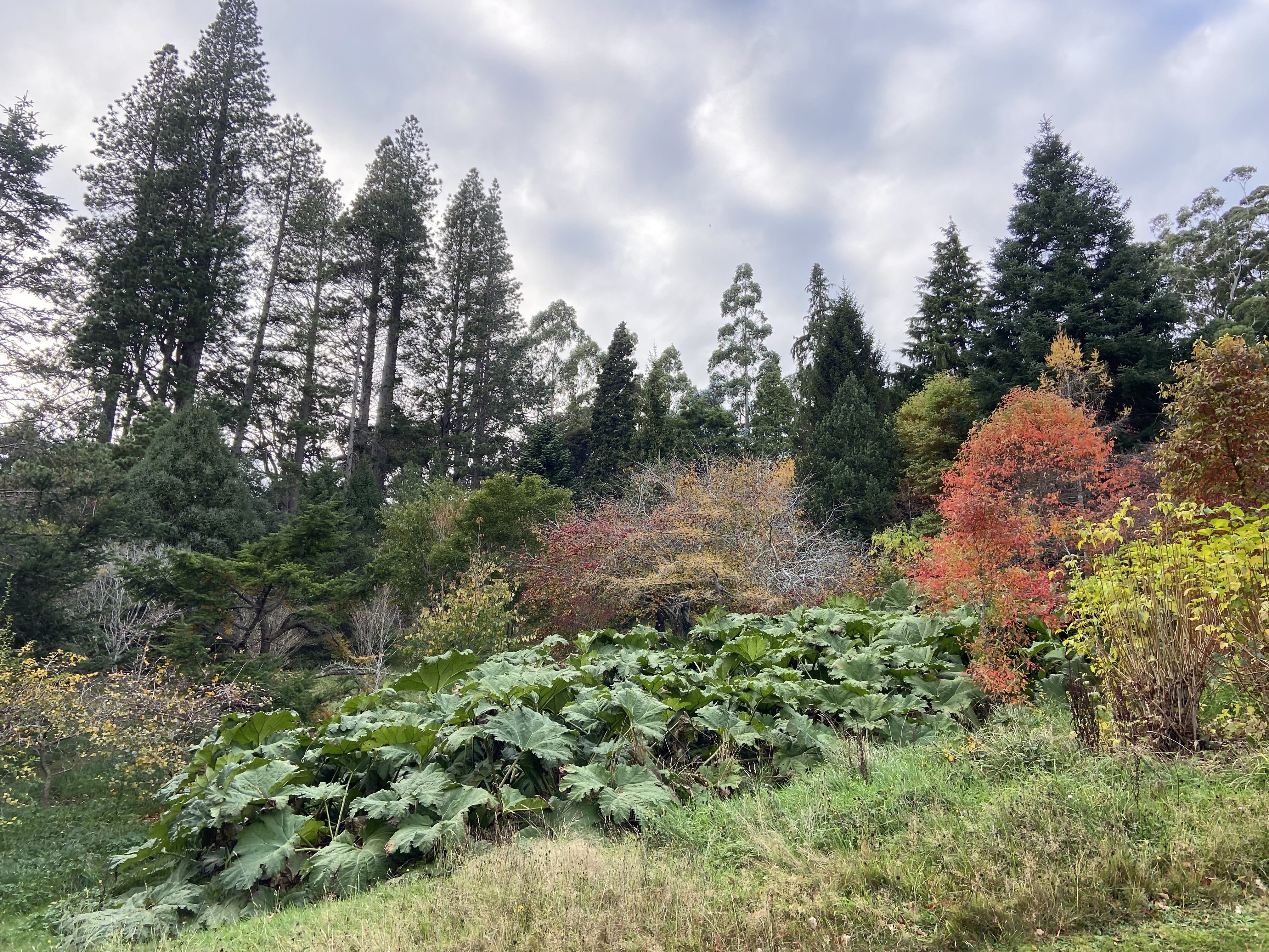 ニュージーランドの住宅街は、なぜ緑が多いのか？ その② 〜寂しさが