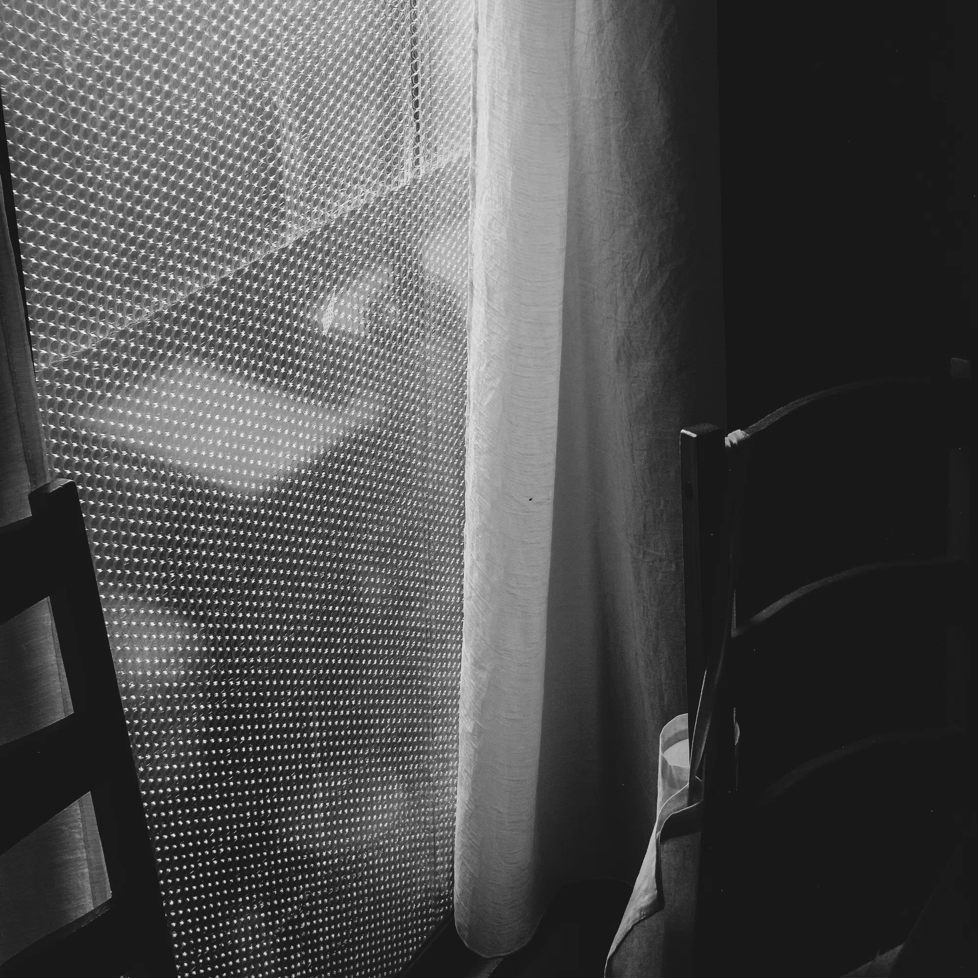 RICOH R8でスナップ｜TK_Photo