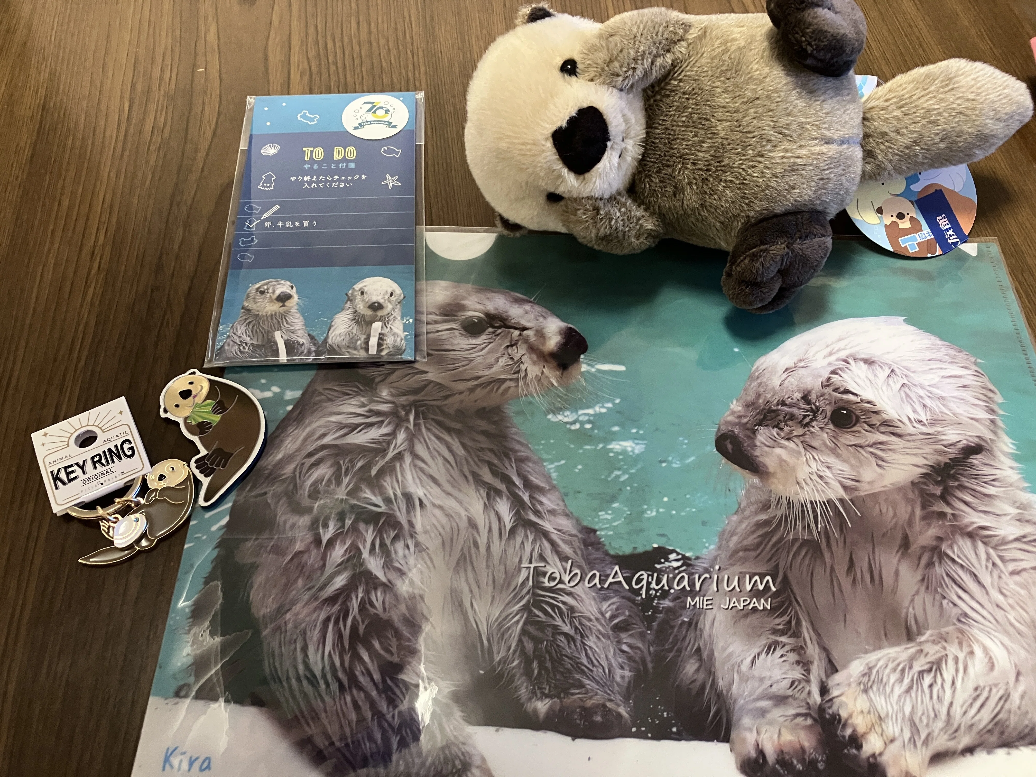 鳥羽水族館】ラッコさん（メイちゃん、キラちゃん）を絶対にみたい人へ