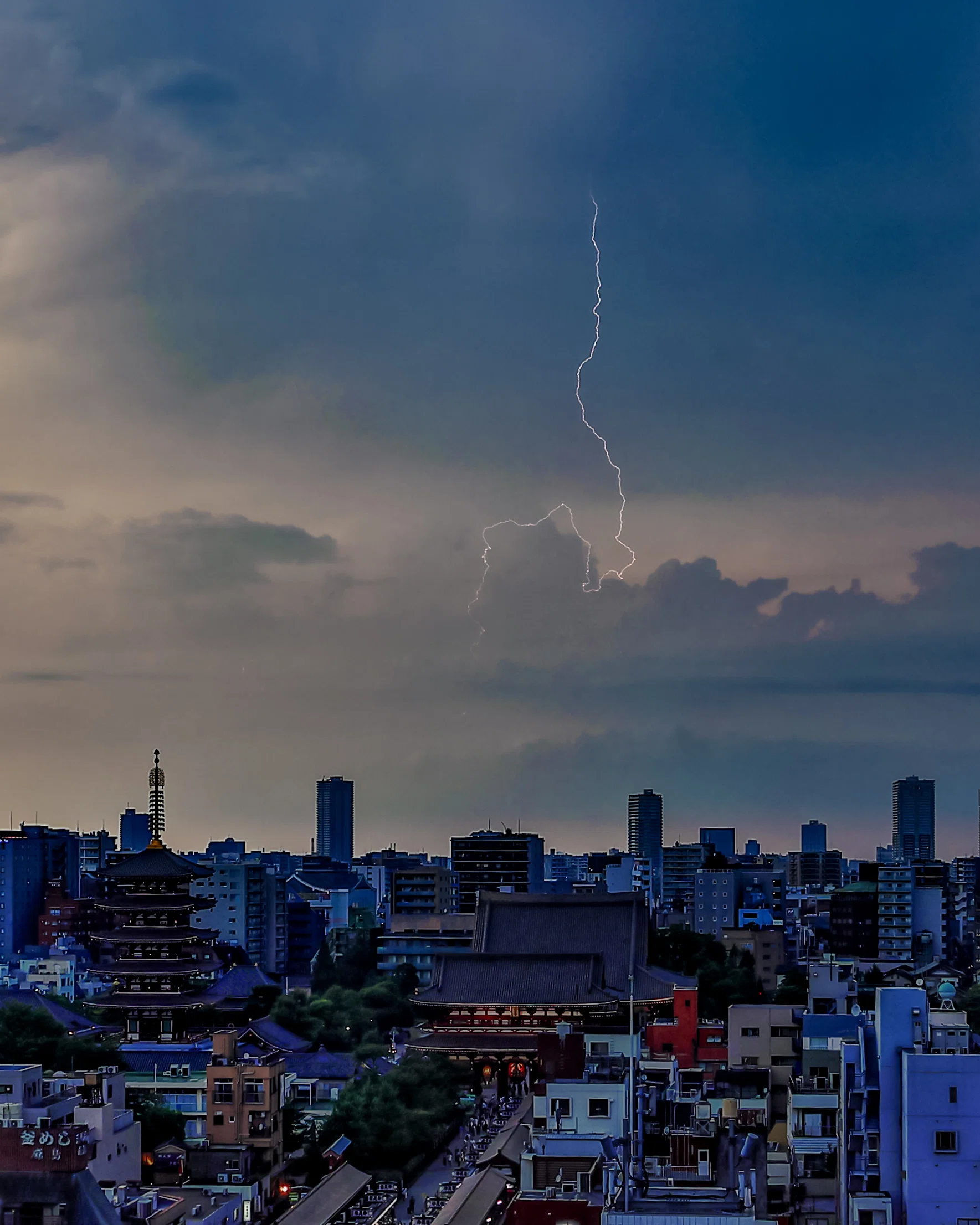 雷日記 2025/8/18｜Toru Shiratori