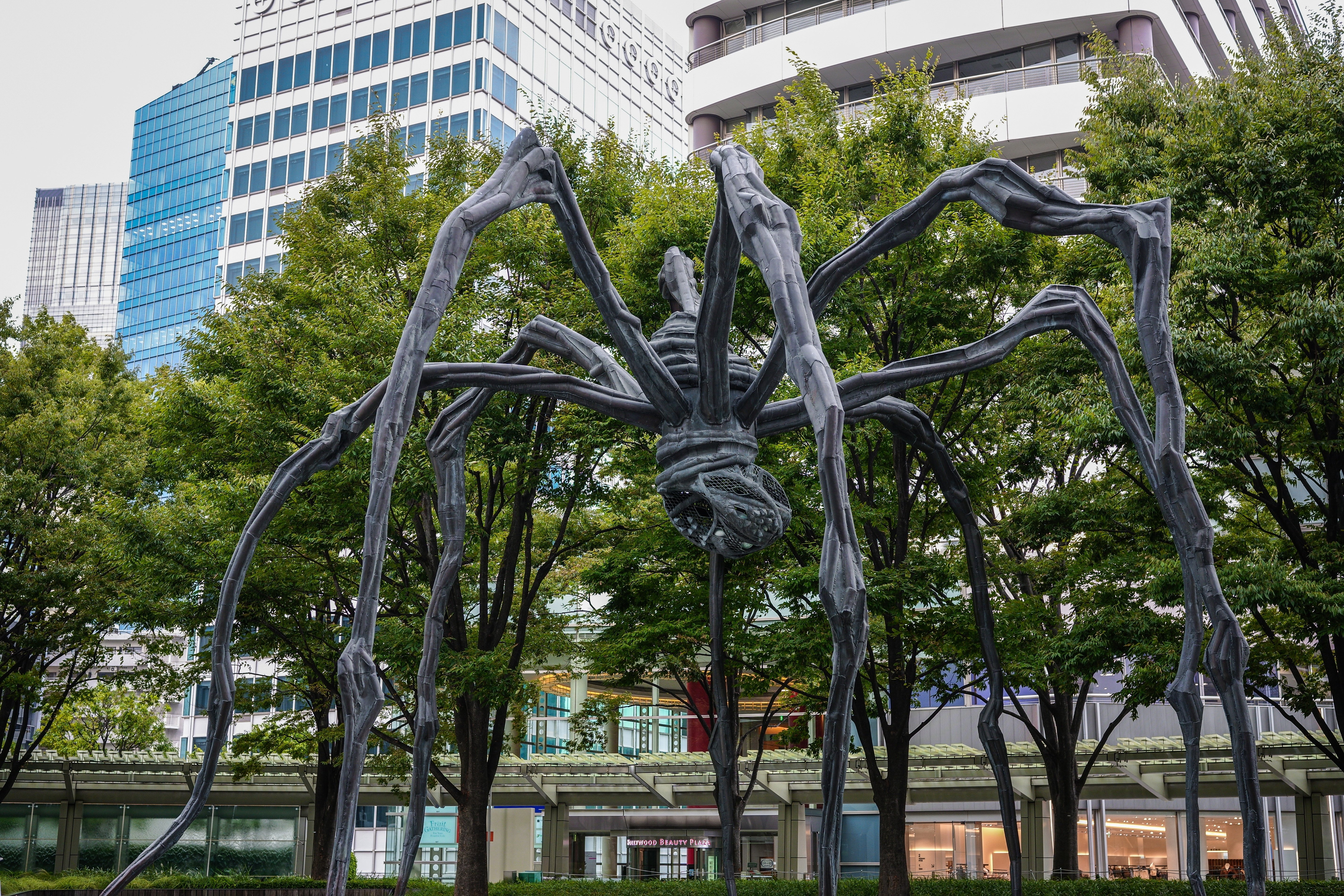 街角の美術館を巡る旅 vol.01 | 六本木ヒルズにいる巨大蜘蛛の正体は