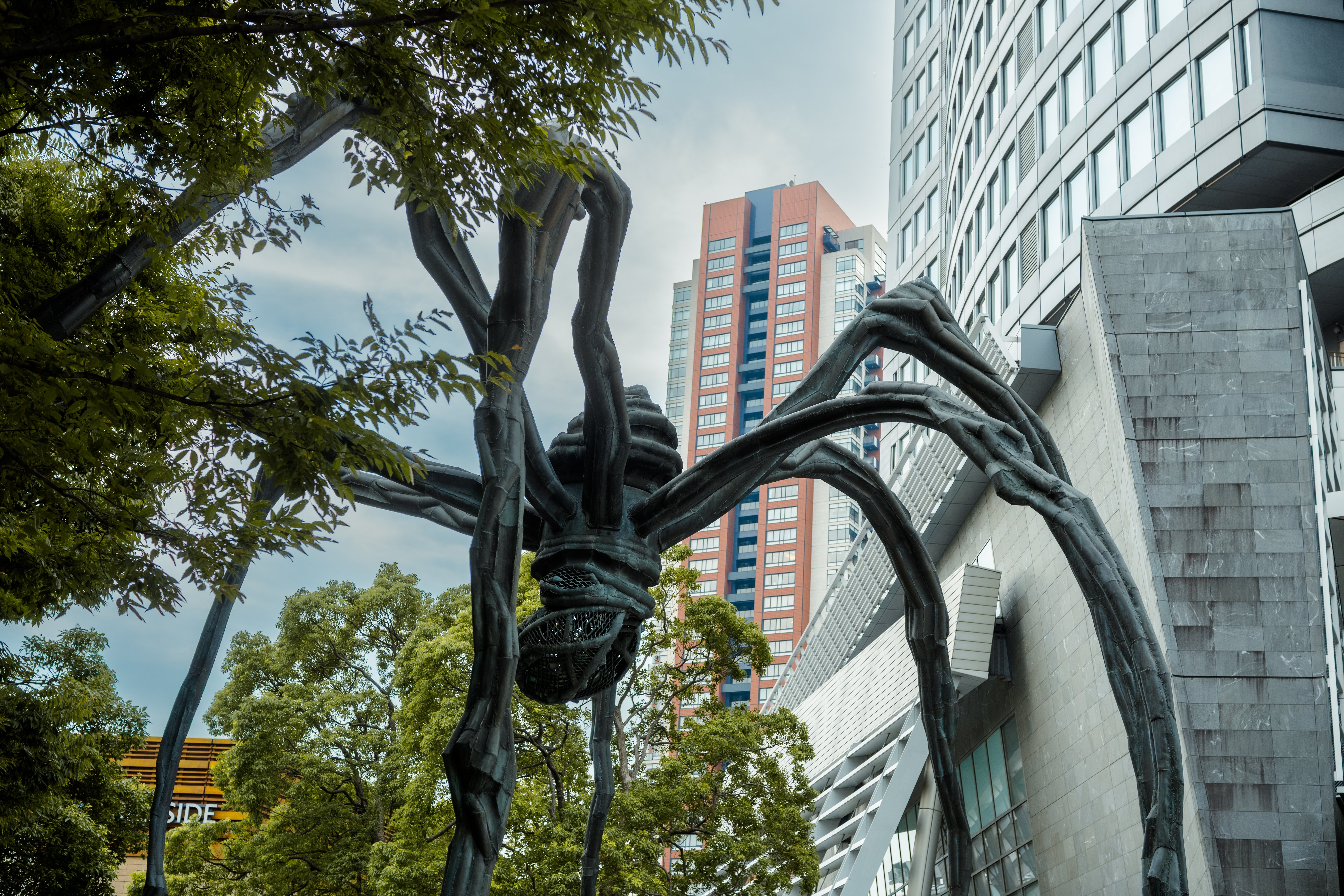 街角の美術館を巡る旅 vol.01 | 六本木ヒルズにいる巨大蜘蛛の正体は