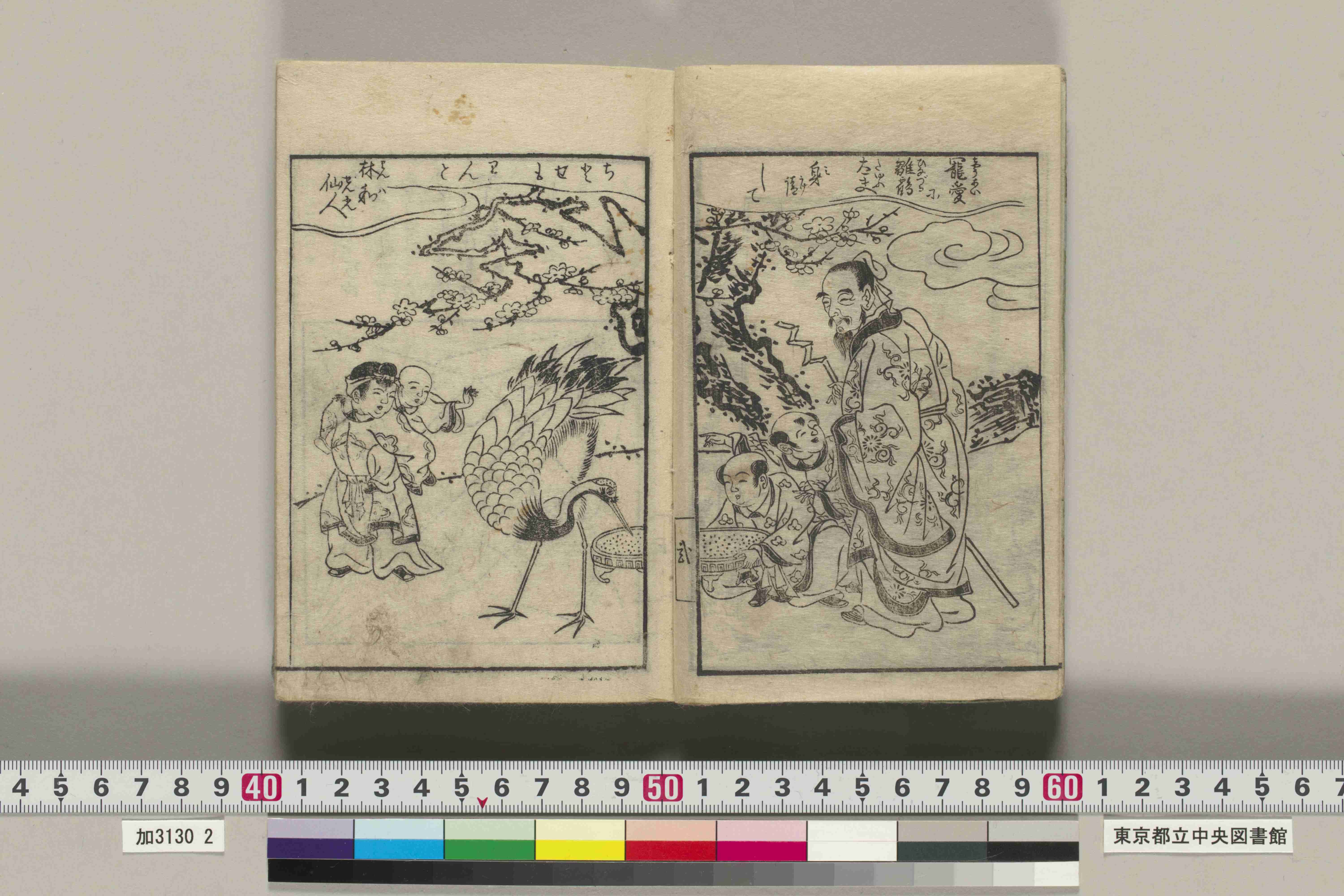 伝統文化レポートPart4.】江戸時代、折形は一般向けの折り紙遊びへ、和