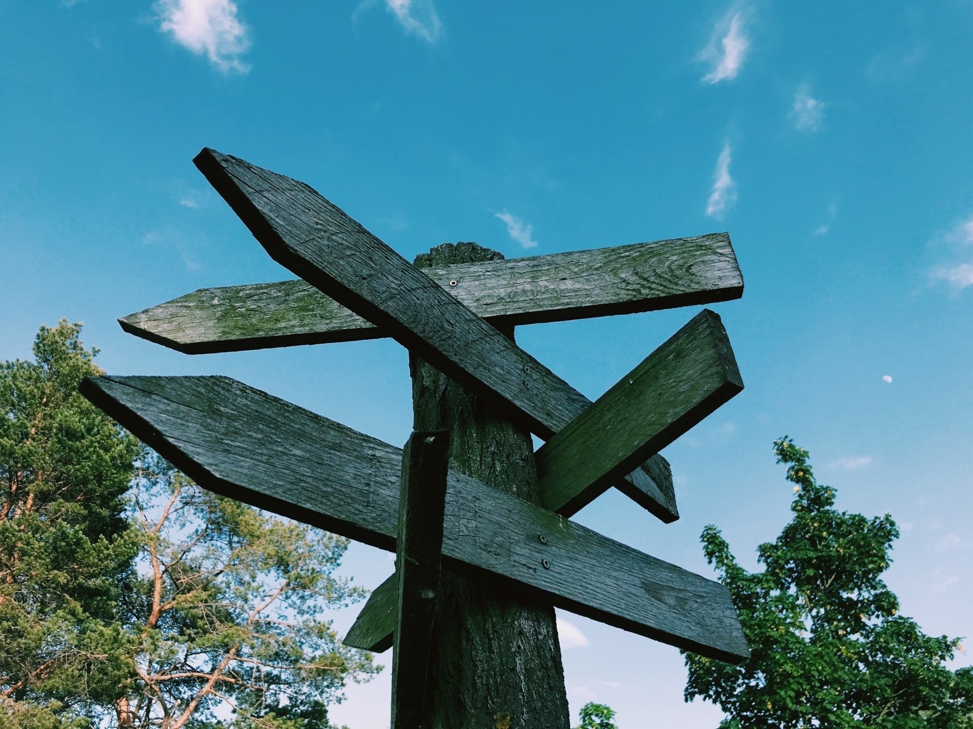 乙女座新月◎再構築と解放のとき｜ANNA.(アンナ)星読み研究家